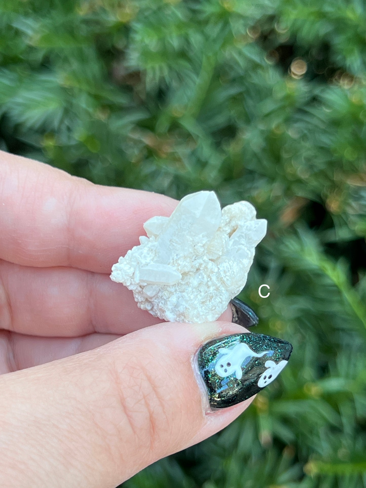 Goddess Quartz Clusters || Choose Your Own Crystal!