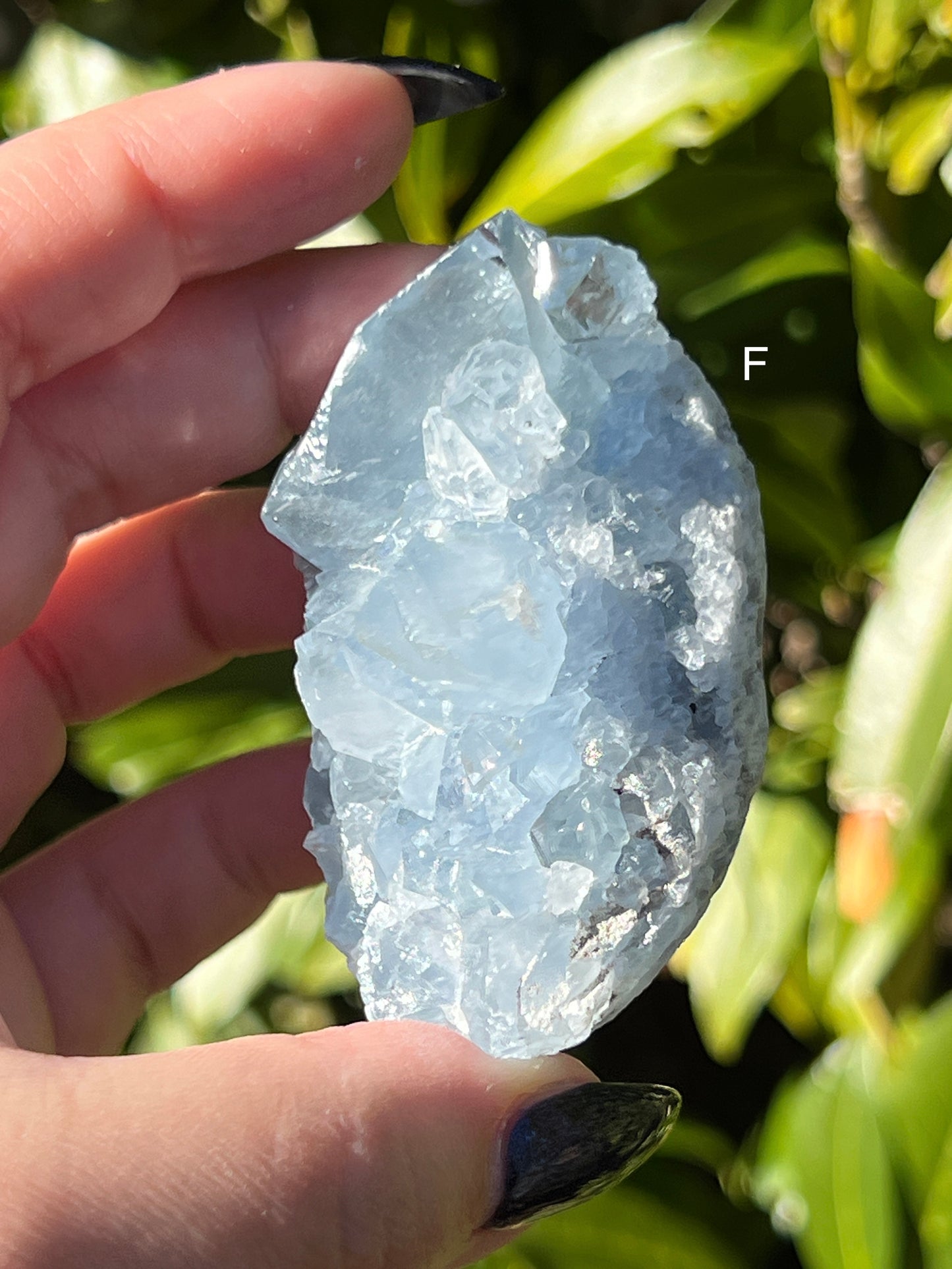 Celestite Clusters || Choose Your Own Crystal!