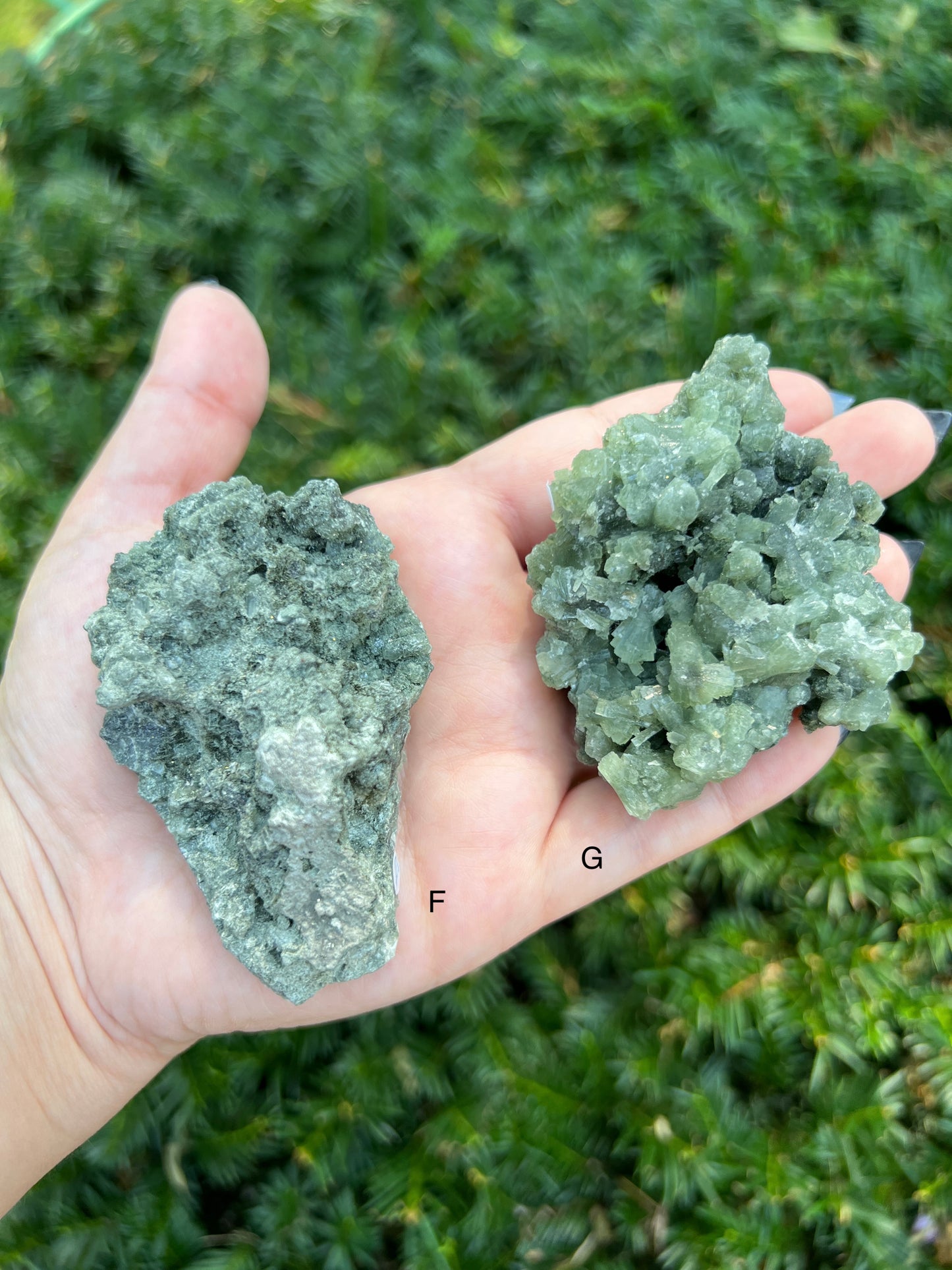 Prehnite & Epidote Clusters || Choose Your Own Crystal