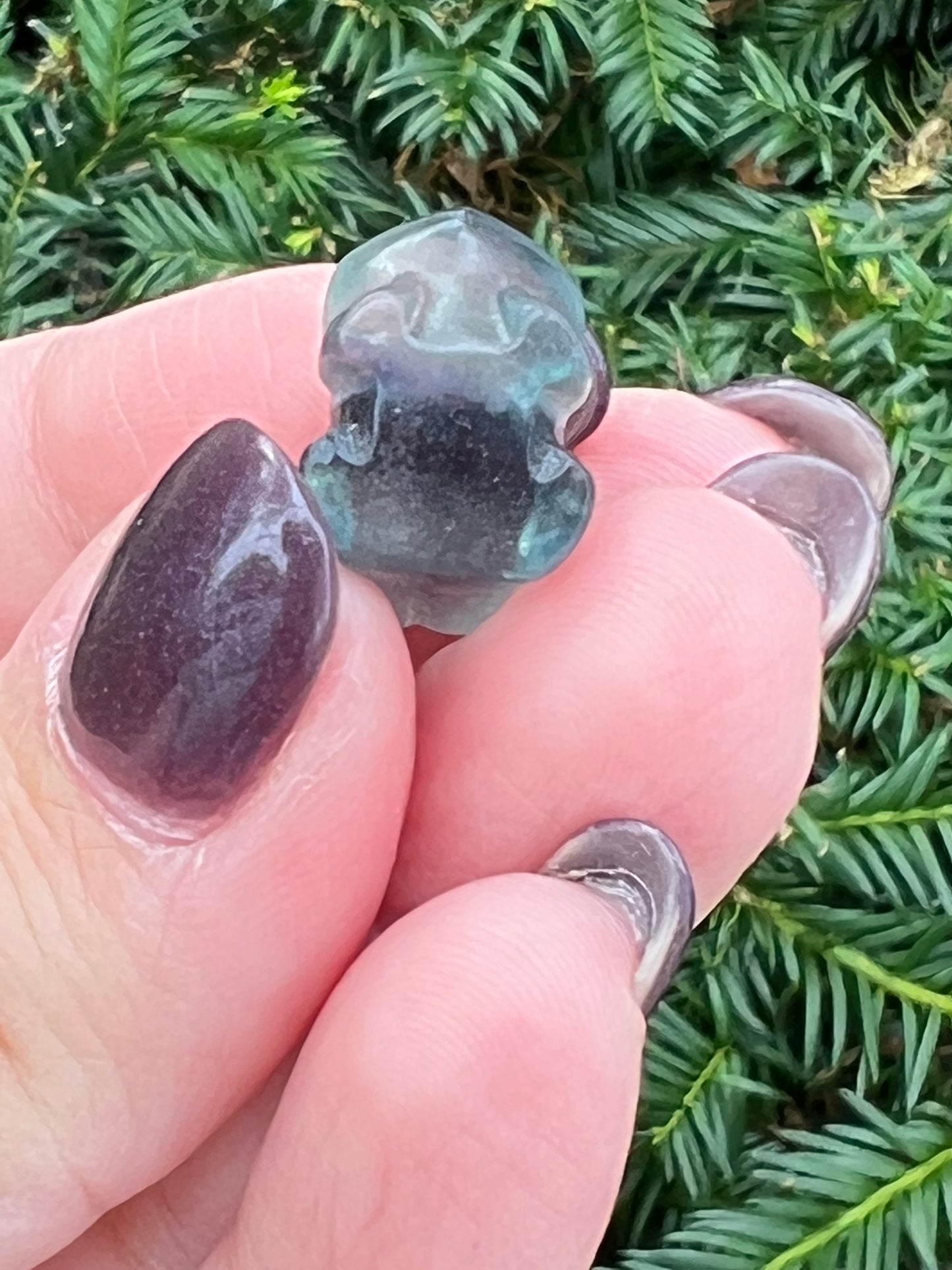 Fluorite Bulbasaur || Intuitively Selected Pokemon Crystal