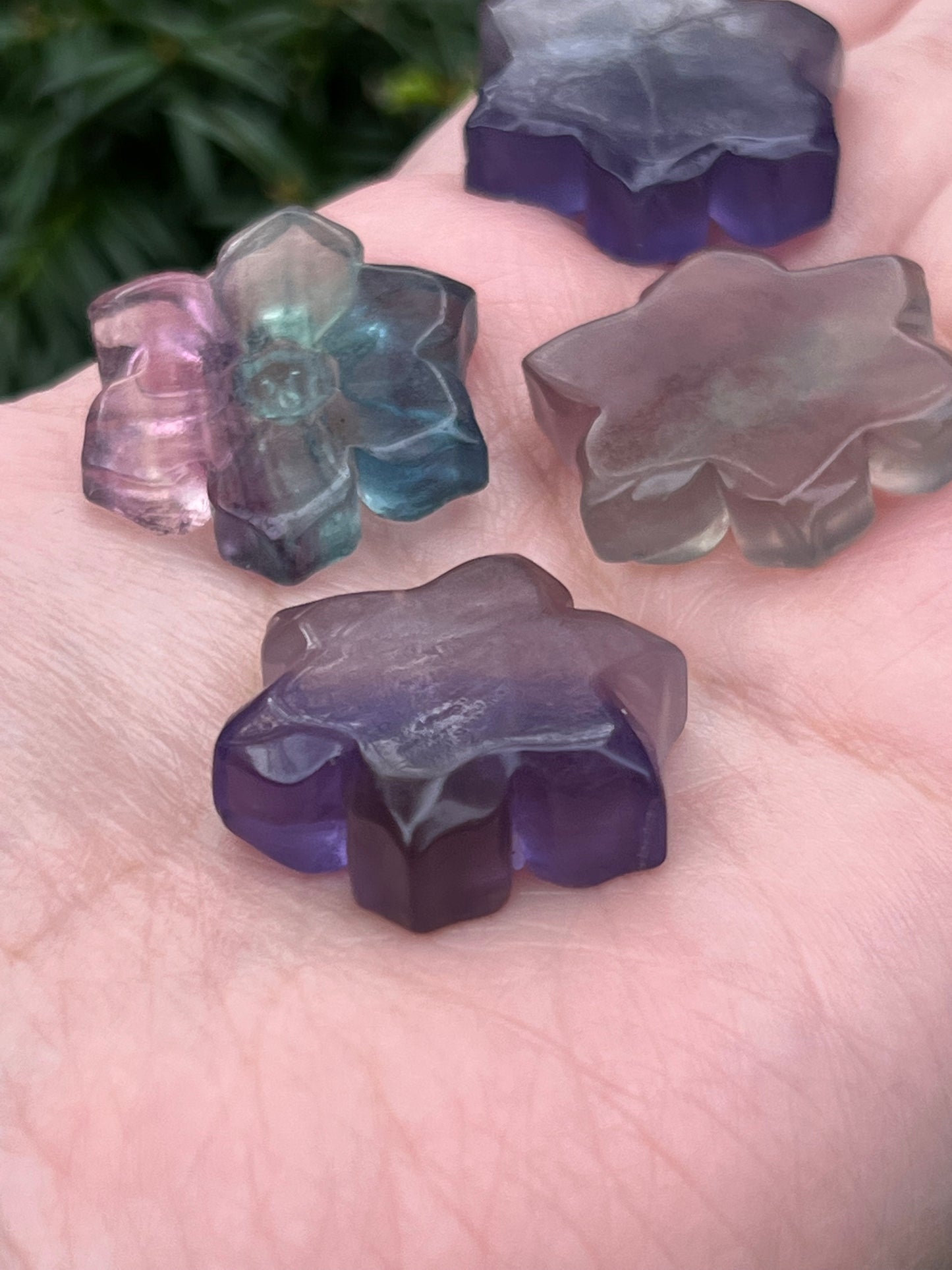 Fluorite Flowers || Intuitively Selected Fluorite Flowers