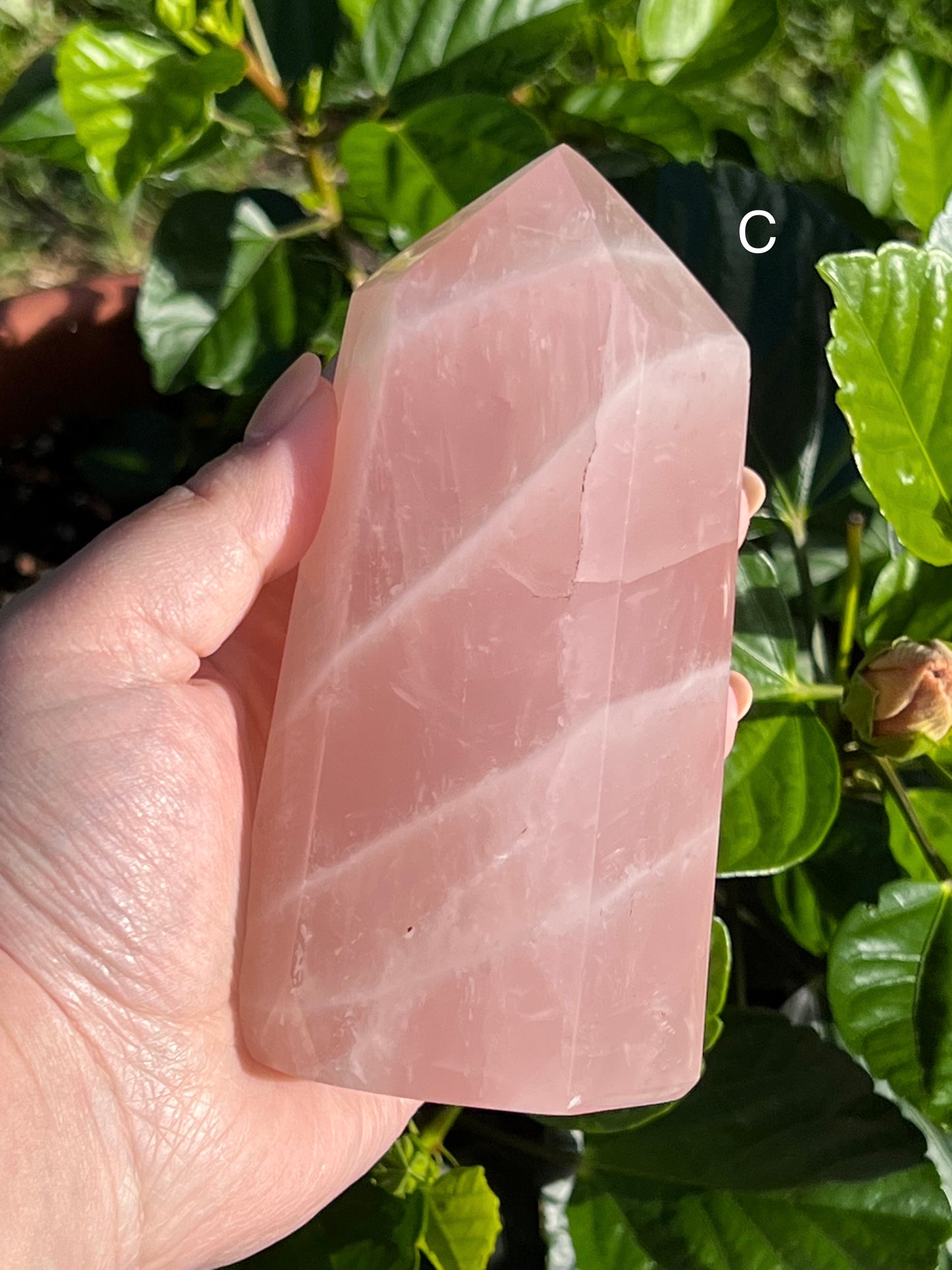 THICC Rose Quartz Towers || Choose Your Own Crystal!