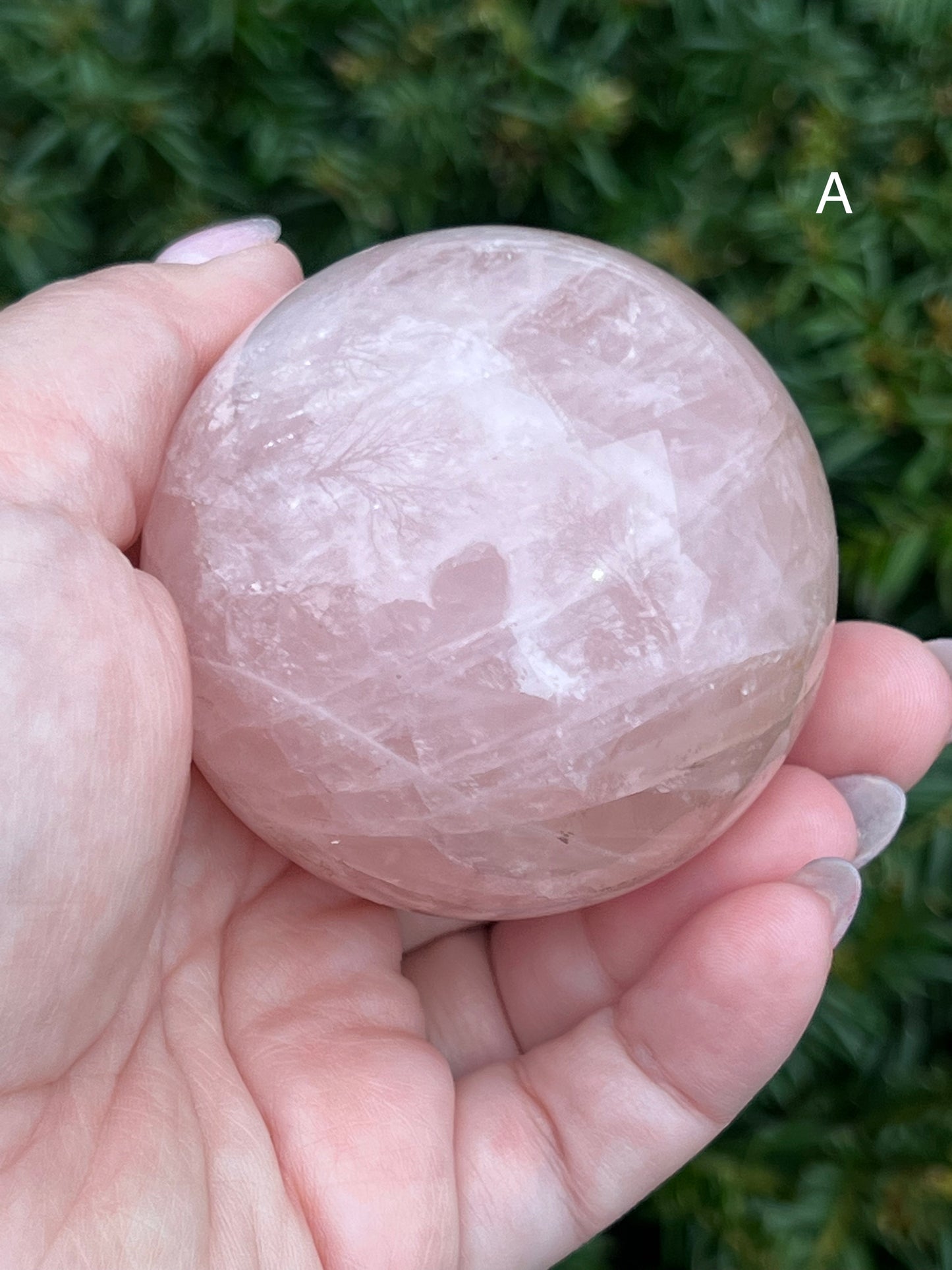 Rose Quartz Spheres image 2