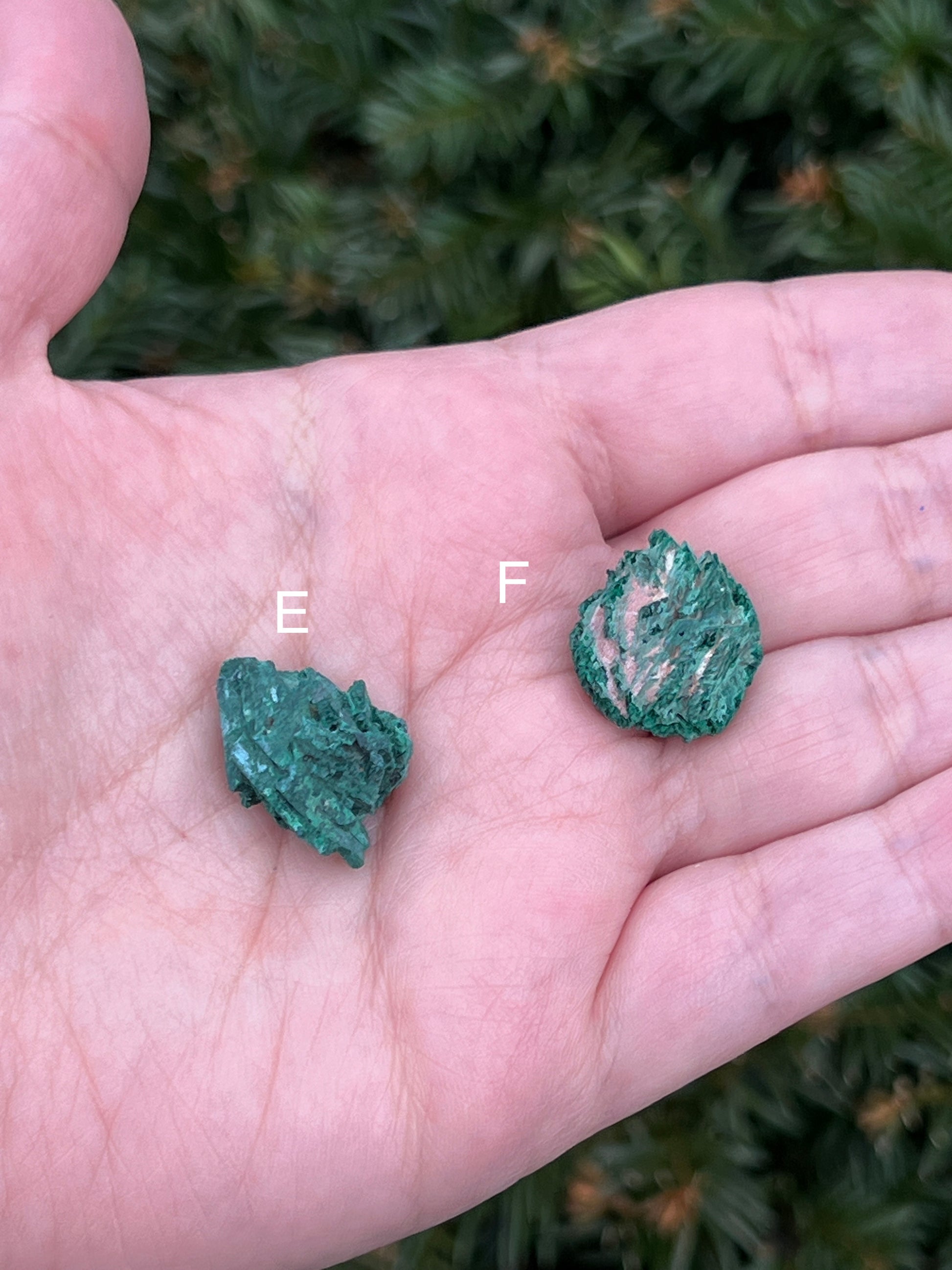 Raws Malachite Pieces || Choose Your Own Crystal! image 6