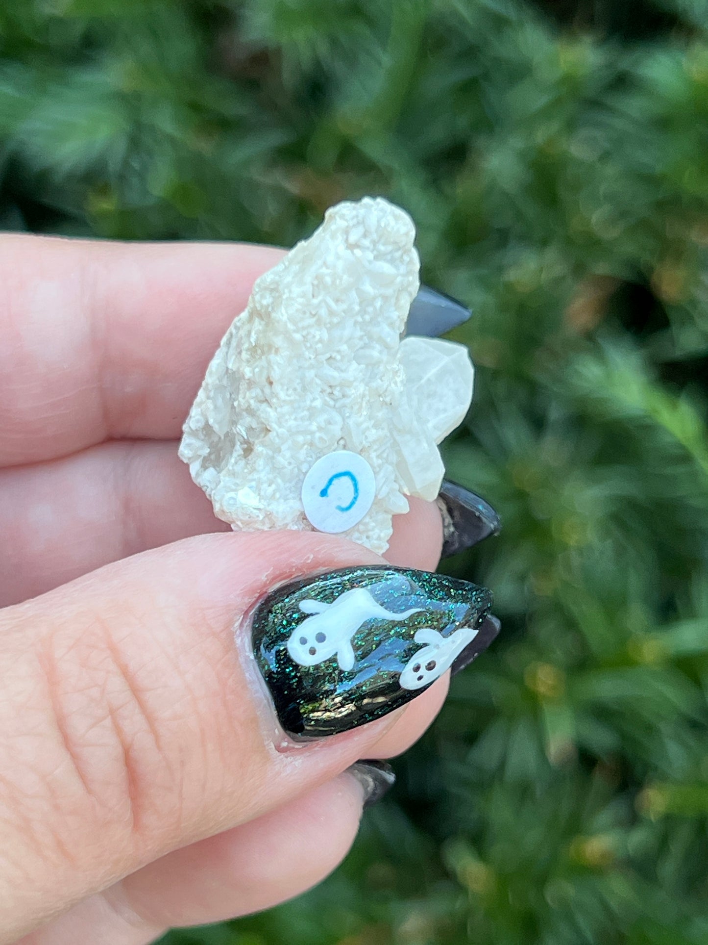 Goddess Quartz Clusters || Choose Your Own Crystal!