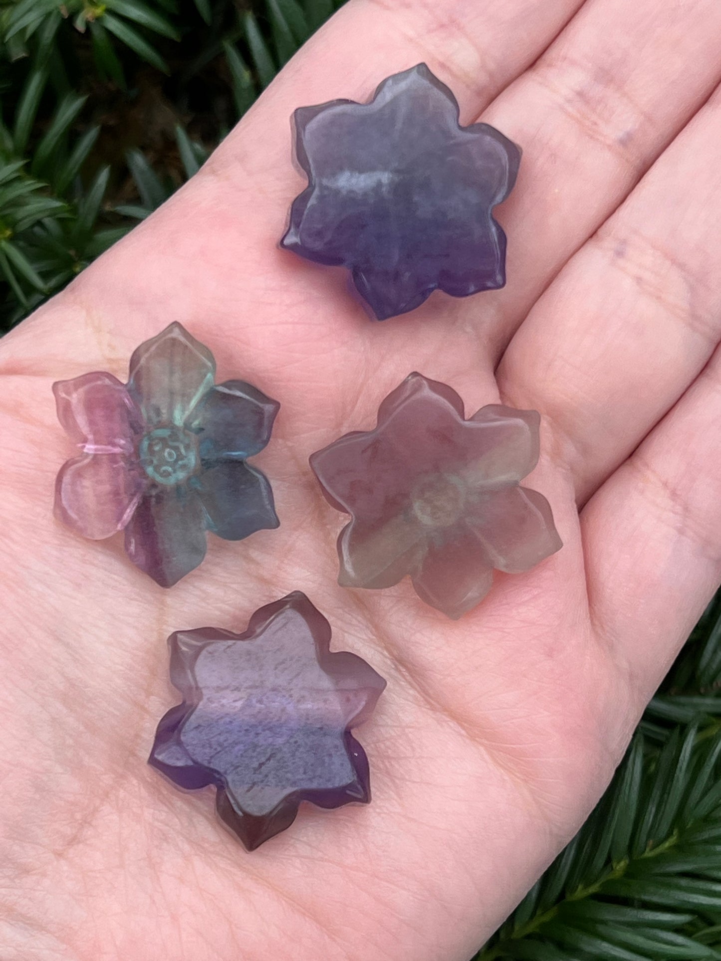 Fluorite Flowers || Intuitively Selected Fluorite Flowers