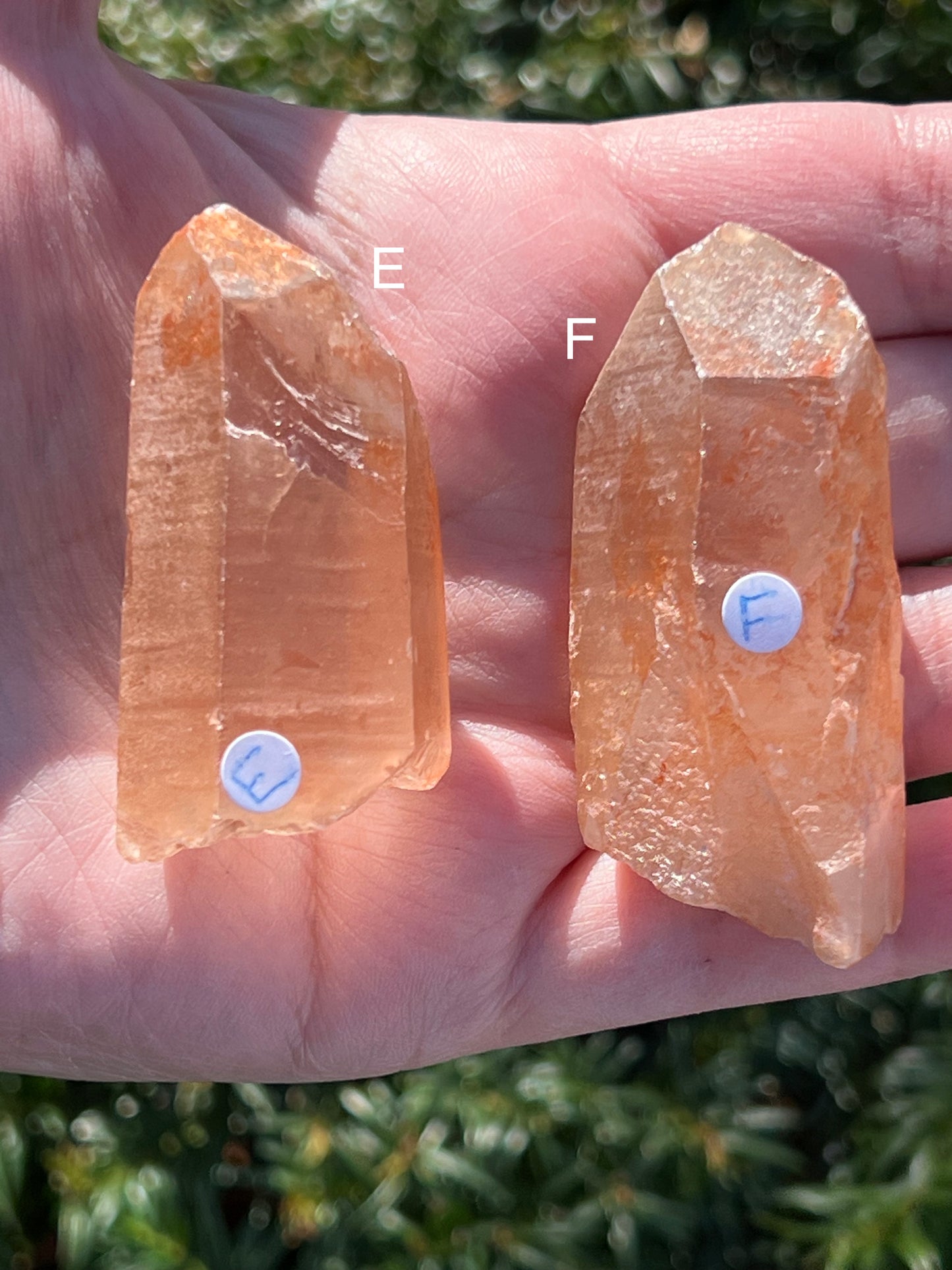 Tangerine Lemurian Quartz || Choose Your Own Crystal!