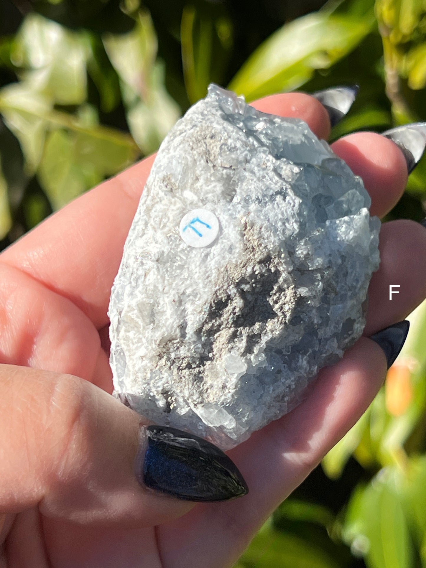 Celestite Clusters || Choose Your Own Crystal!