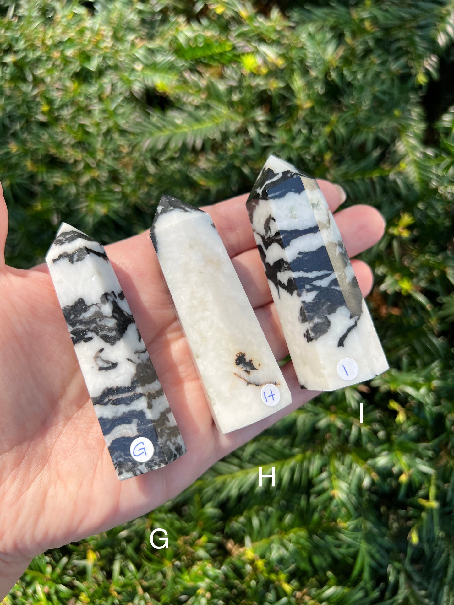 Zebra Stone Towers || Choose Your Own Crystal!