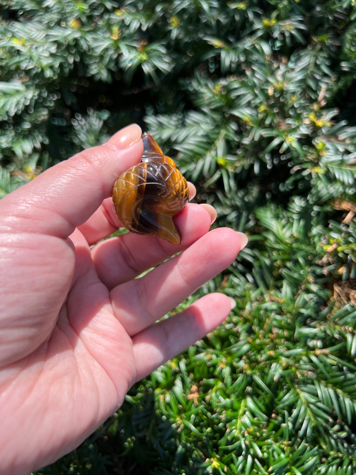 Tigers Eye Cobras || Intuitively Selected Tigers Eye Cobras