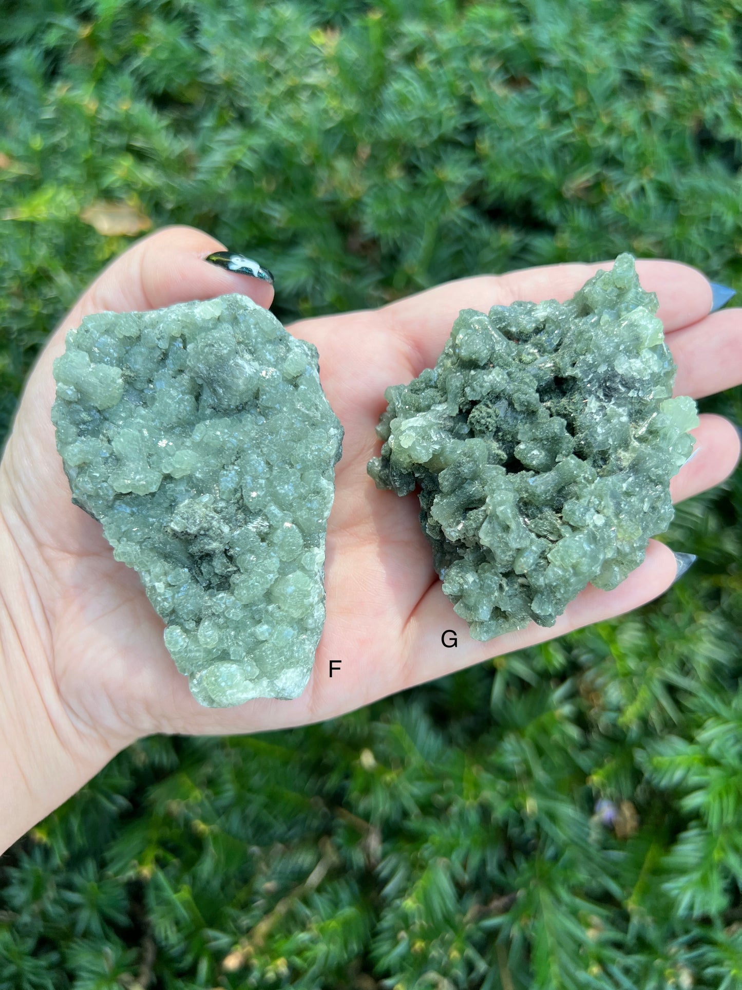 Prehnite & Epidote Clusters || Choose Your Own Crystal