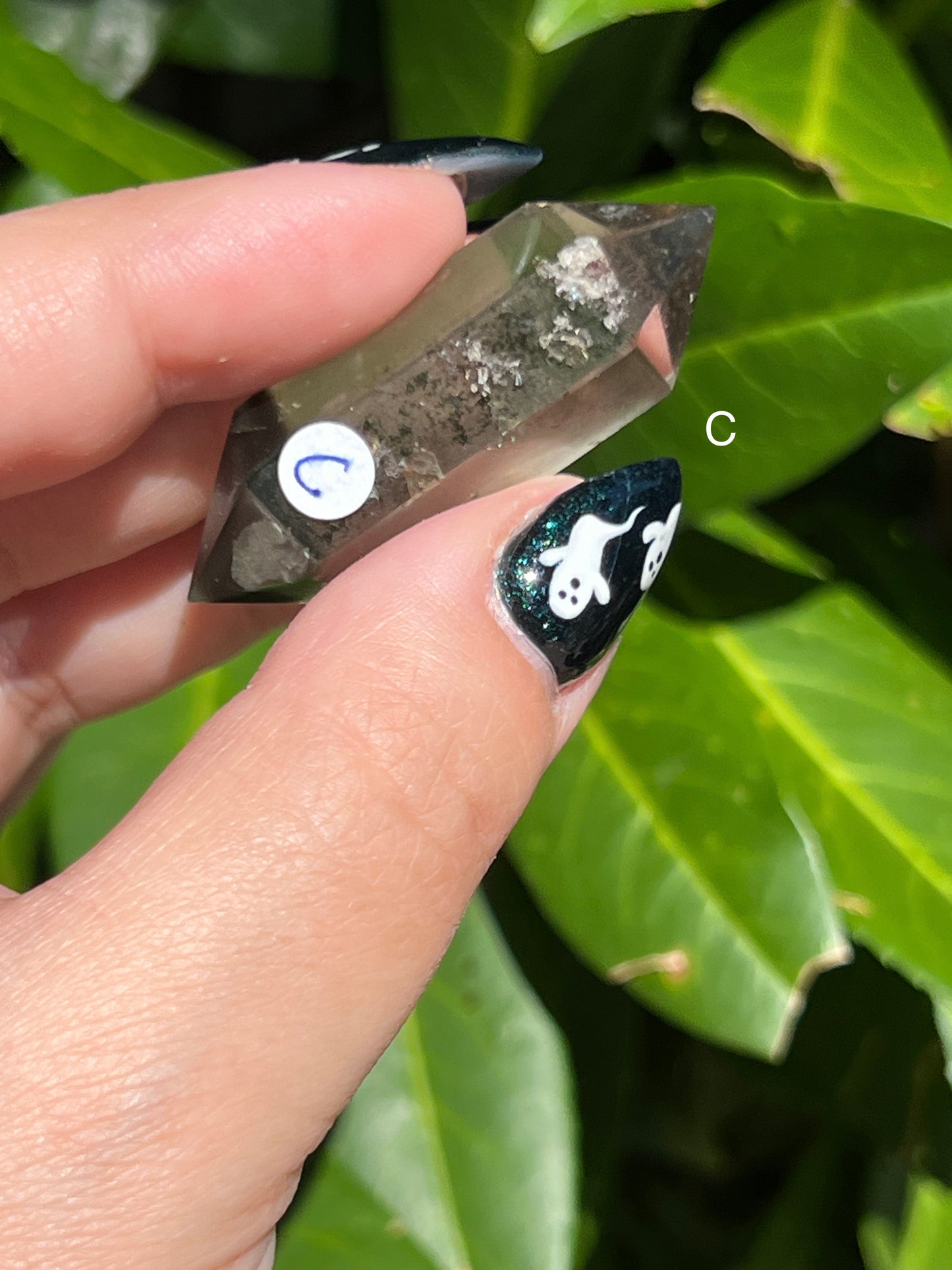 Garden Quartz Double-Terminated Points || Choose Your Own Crystal!