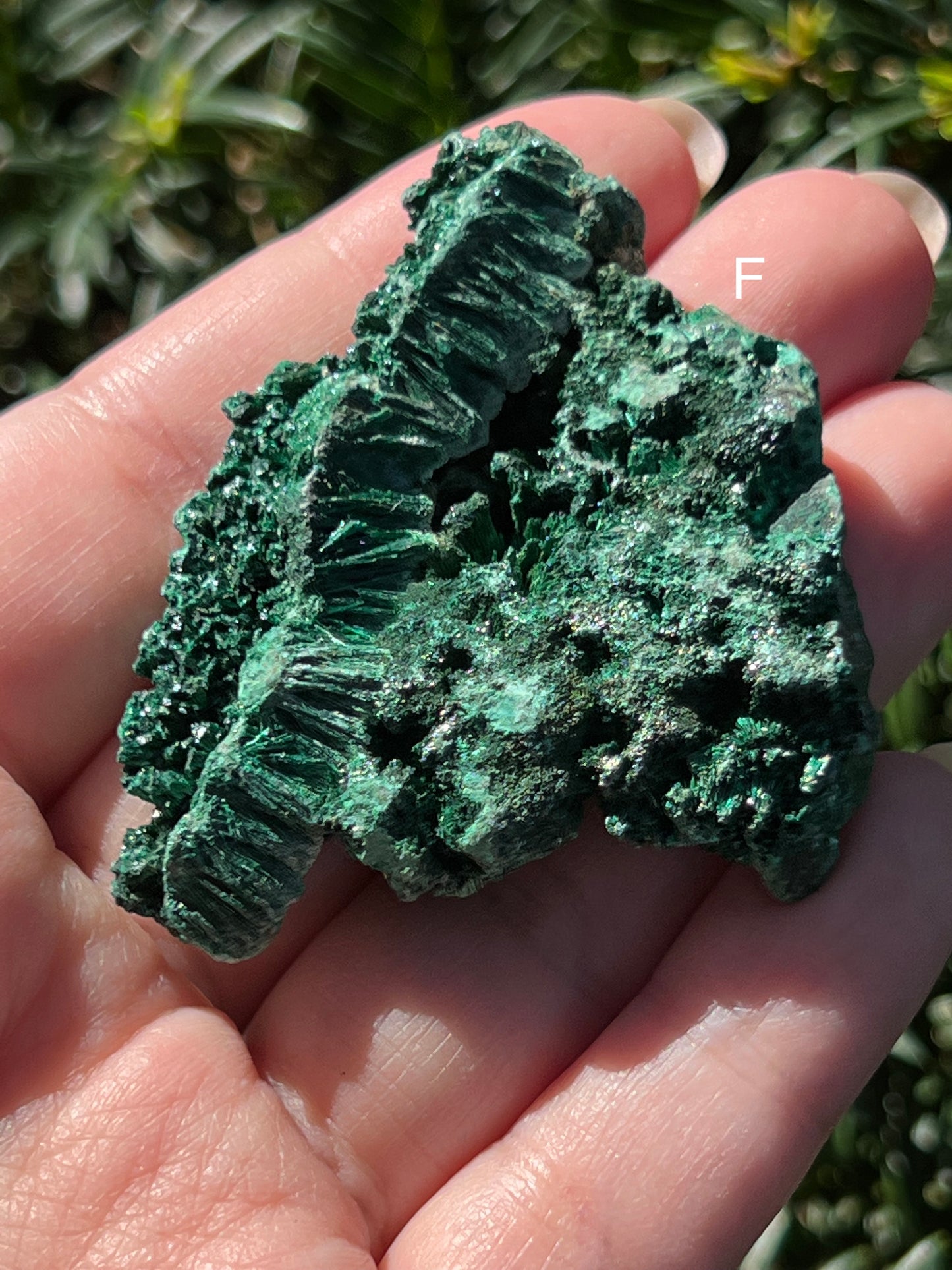 Fibrous Malachite Specimens || Choose Your Own Crystal!