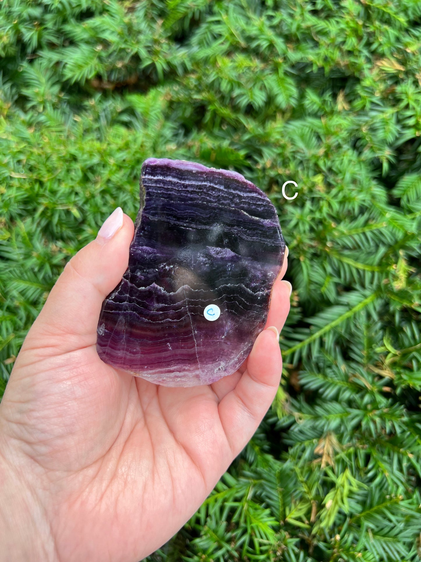 Fluorite Slabs || Choose Your Own Crystal!