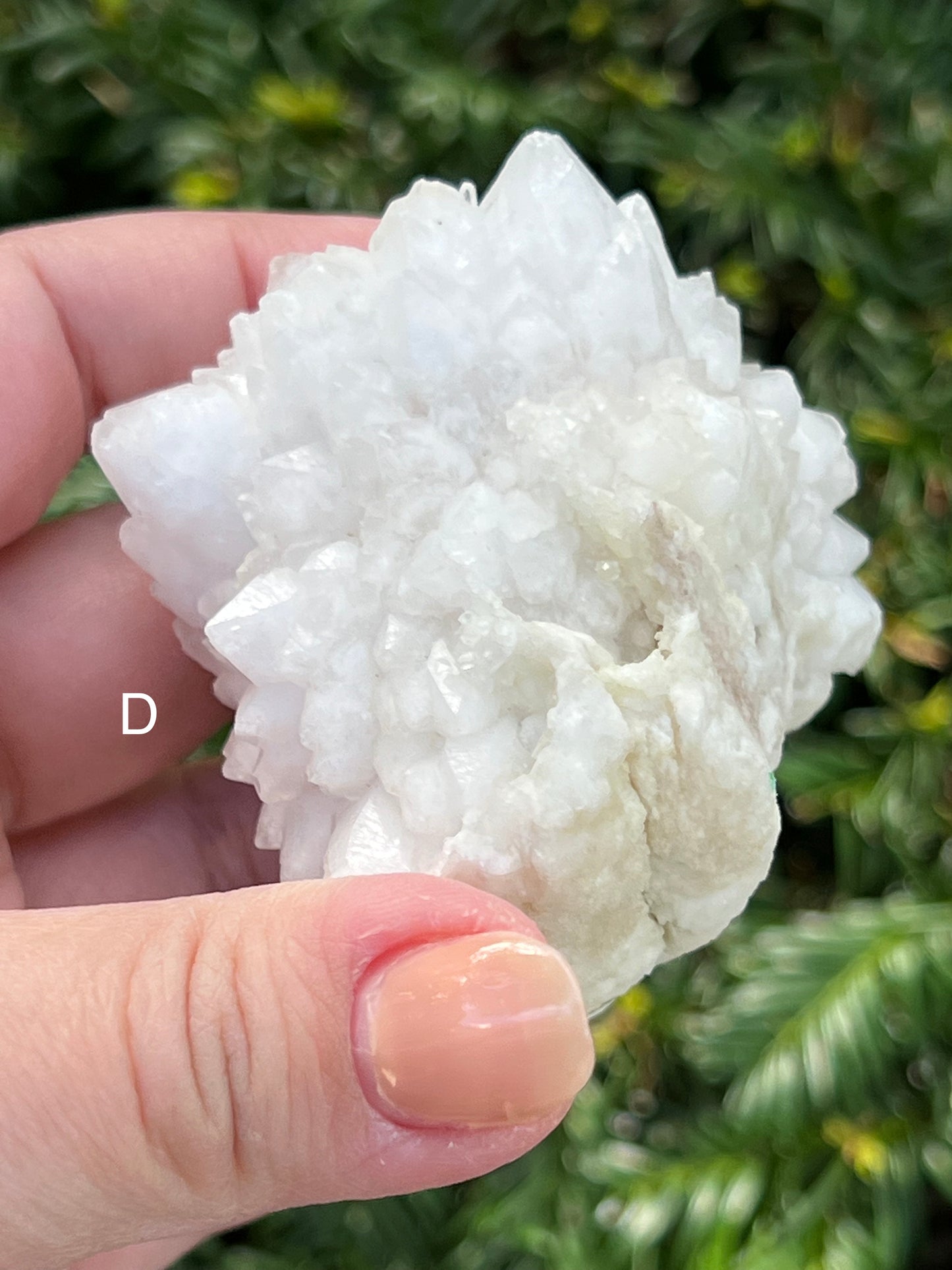 Moroccan Clear Quartz Clusters || Choose Your Own Crystal! image 6