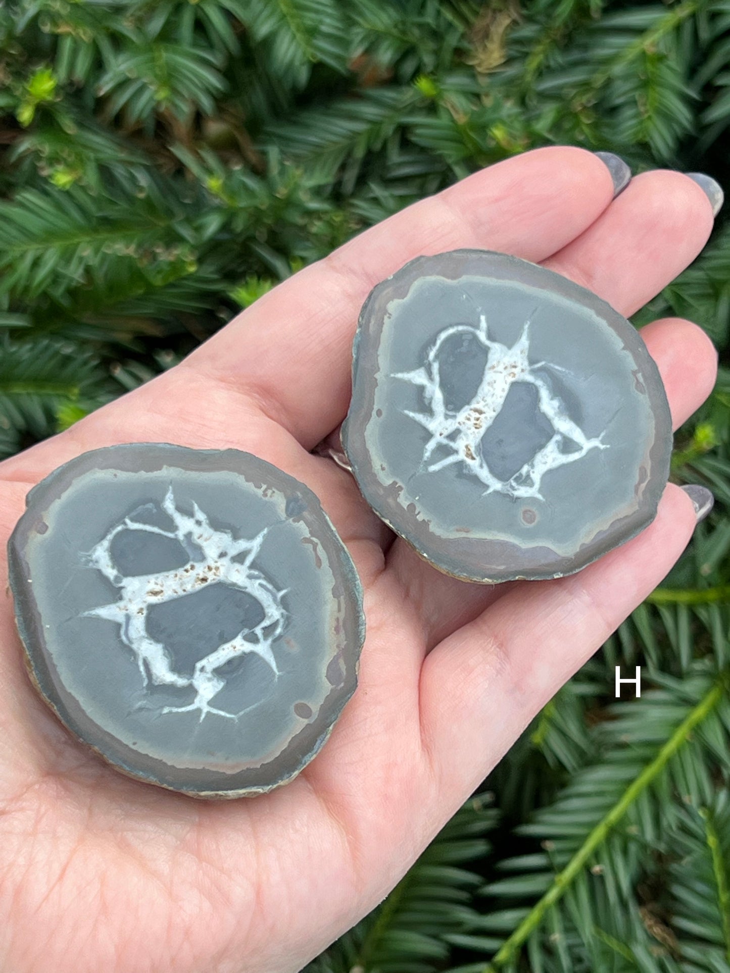 Septarian Nodes || Choose Your Own Crystal!