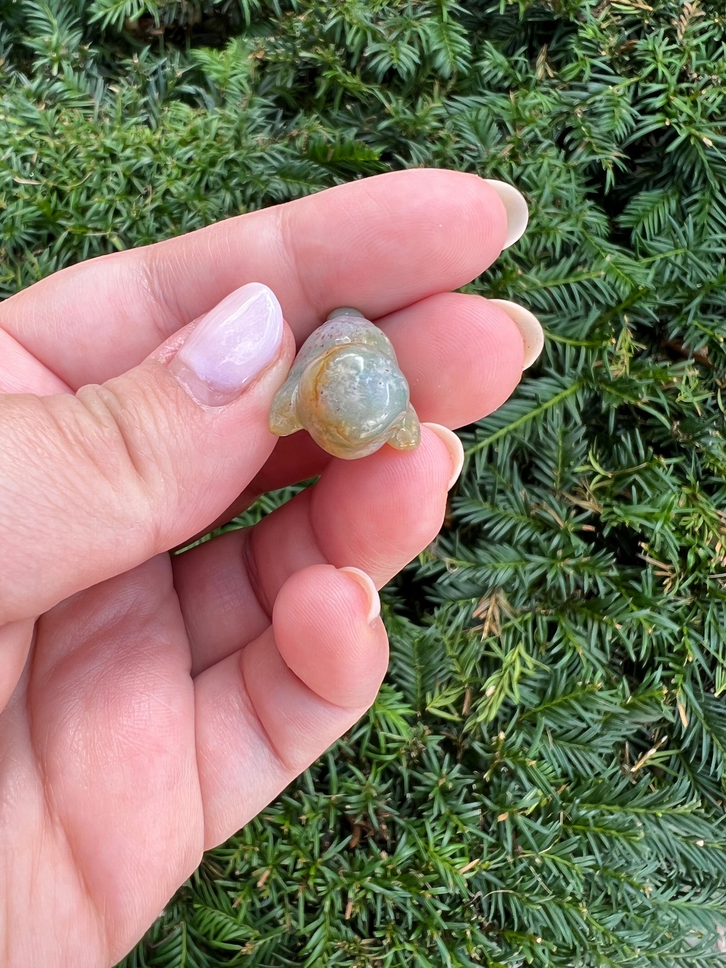 Ocean Jasper Squirtle || Crystal Pokemon || Intuitively Chosen