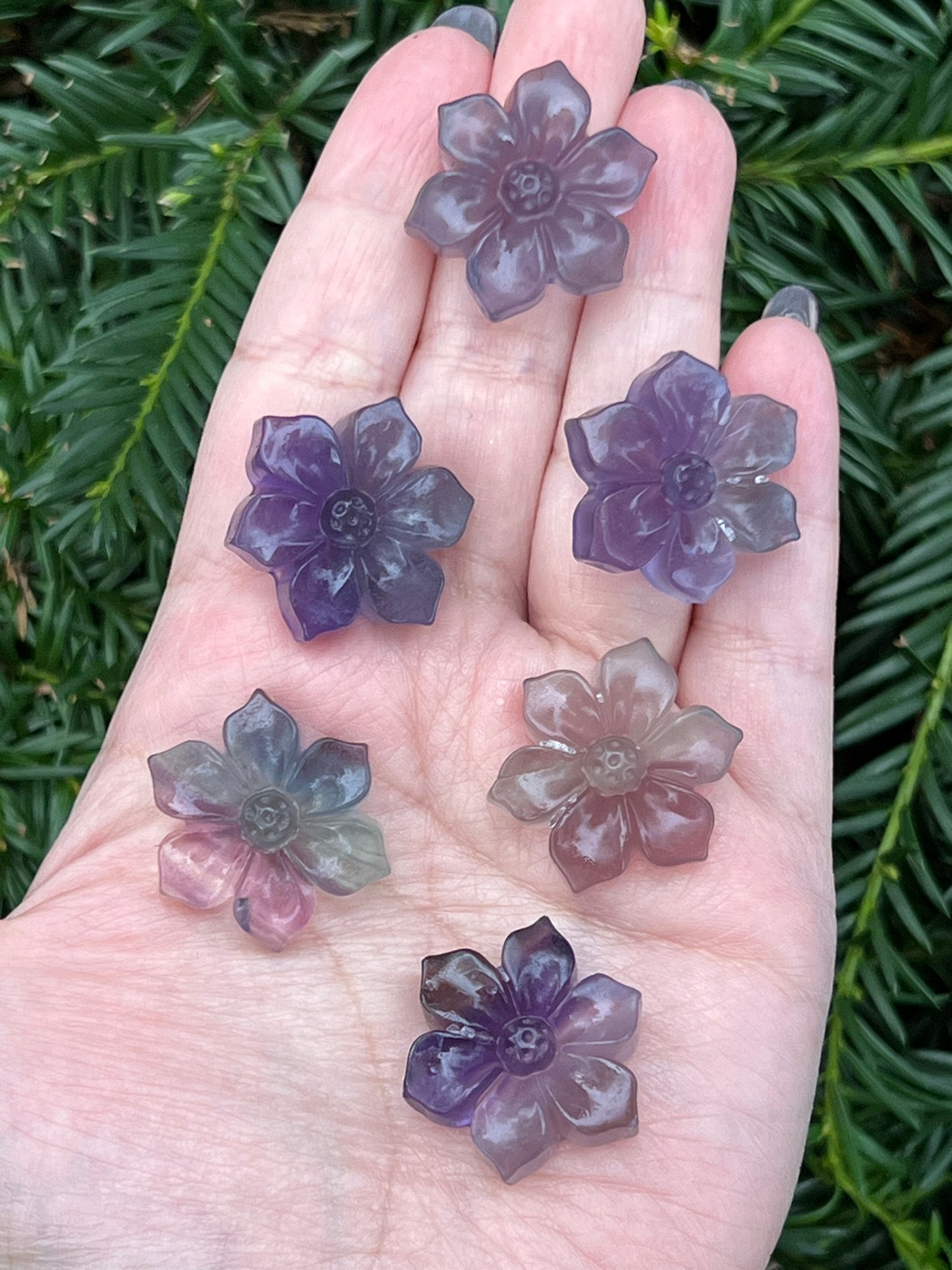 Fluorite Flowers || Intuitively Selected Fluorite Flowers