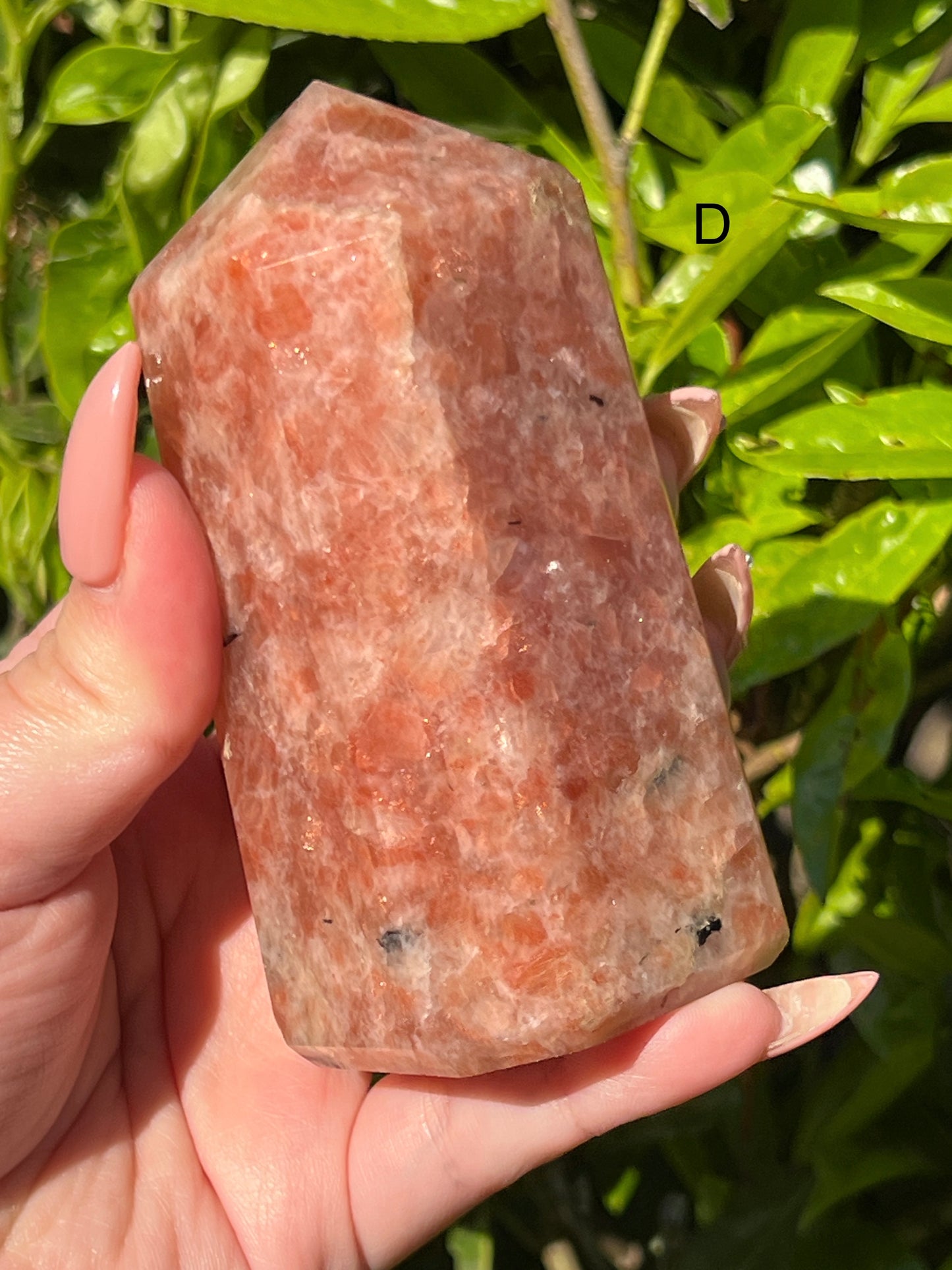 Sunstone Towers || Choose Your Own Crystal