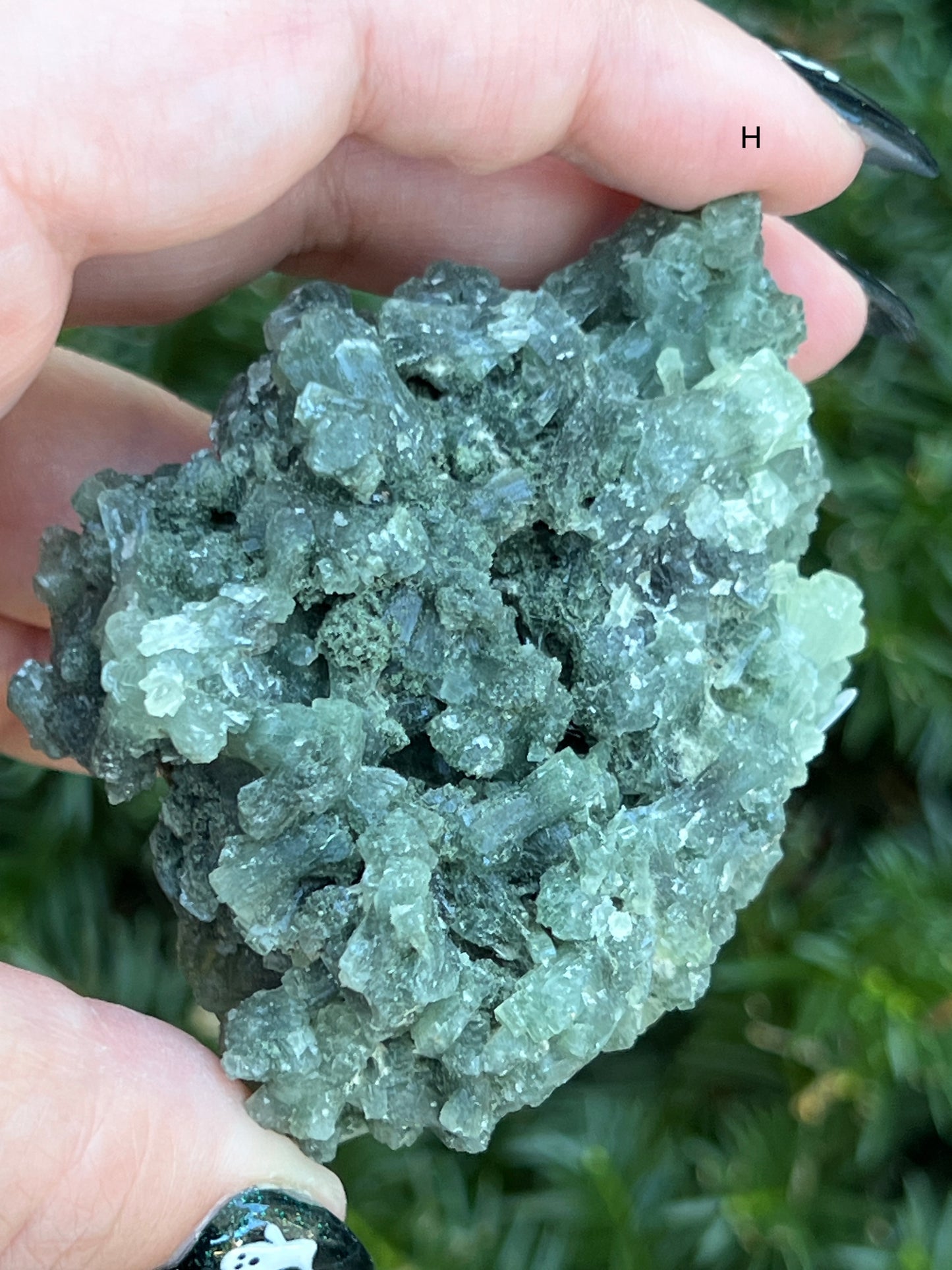 Prehnite & Epidote Clusters || Choose Your Own Crystal