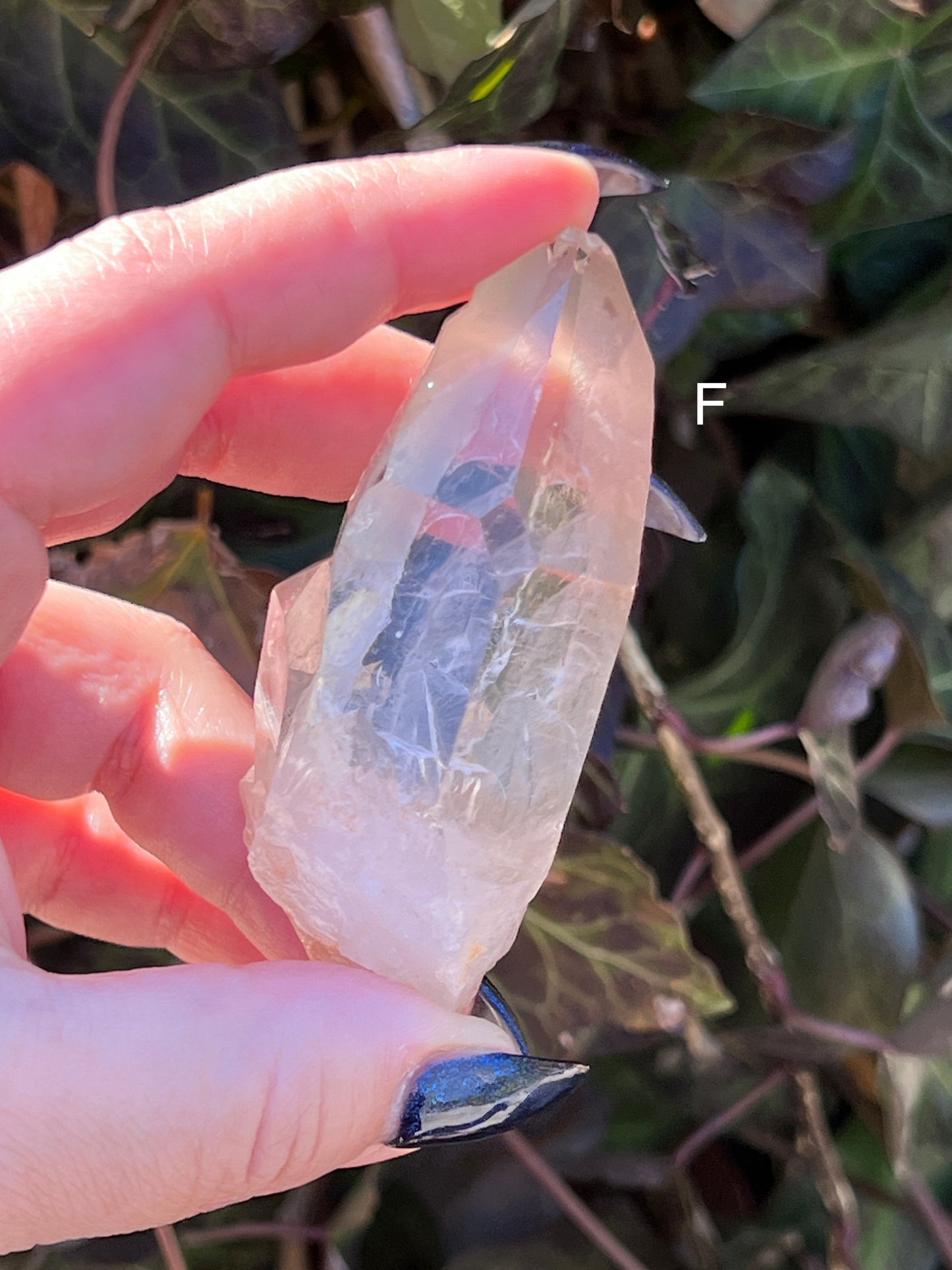 Smoky Lemurian Quartz || Choose Your Own Crystal!