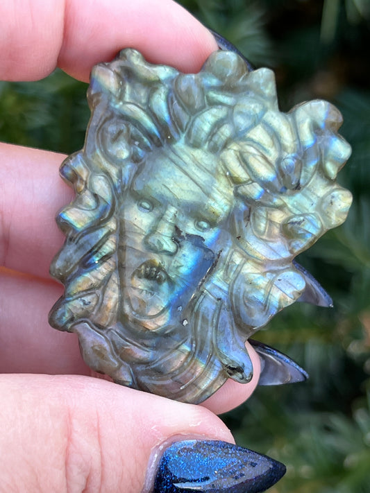 Labradorite Medusa || Choose Your Own Crystal! image 0