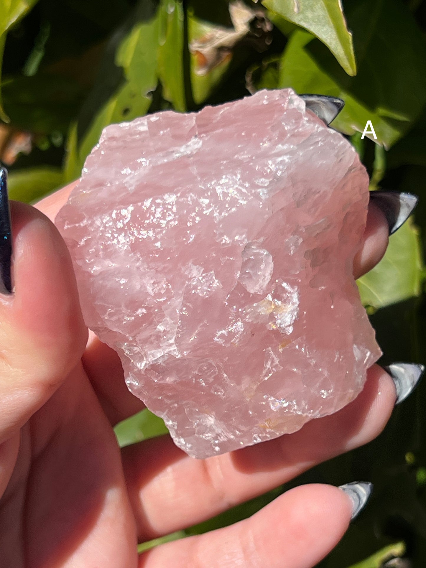 Raw Rose Quartz || Choose Your Own Crystal! image 1