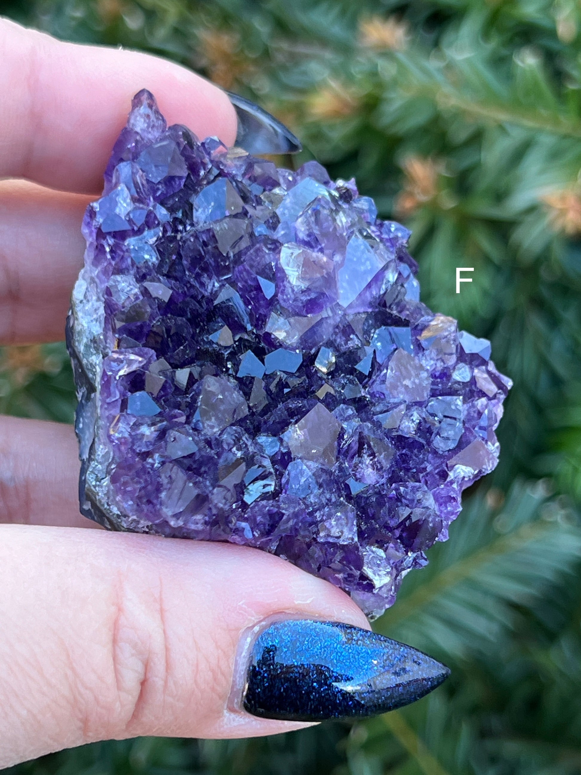 Raw Amethyst Cluster || Intuitively Selected Crystal image 7