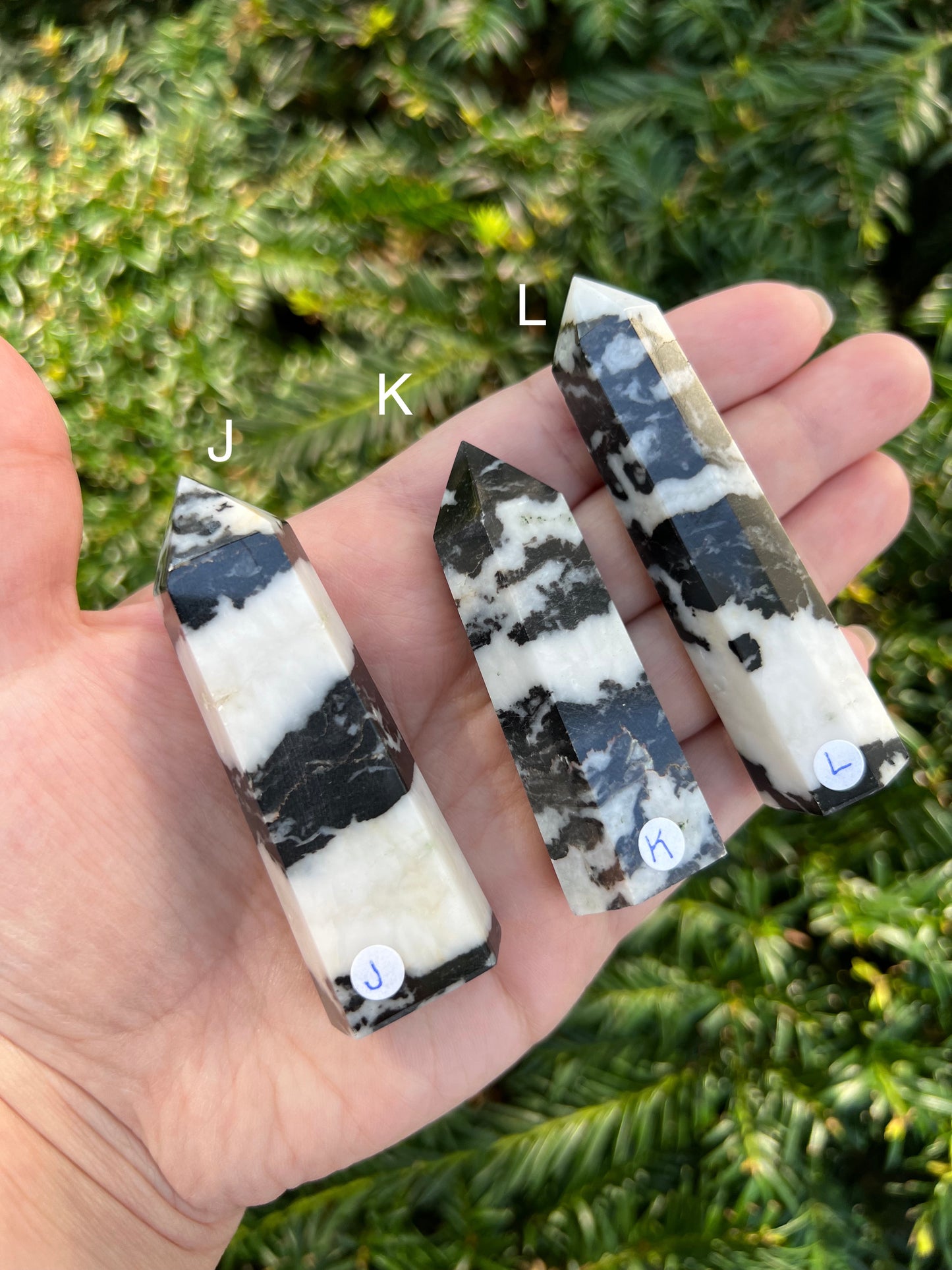 Zebra Stone Towers || Choose Your Own Crystal!