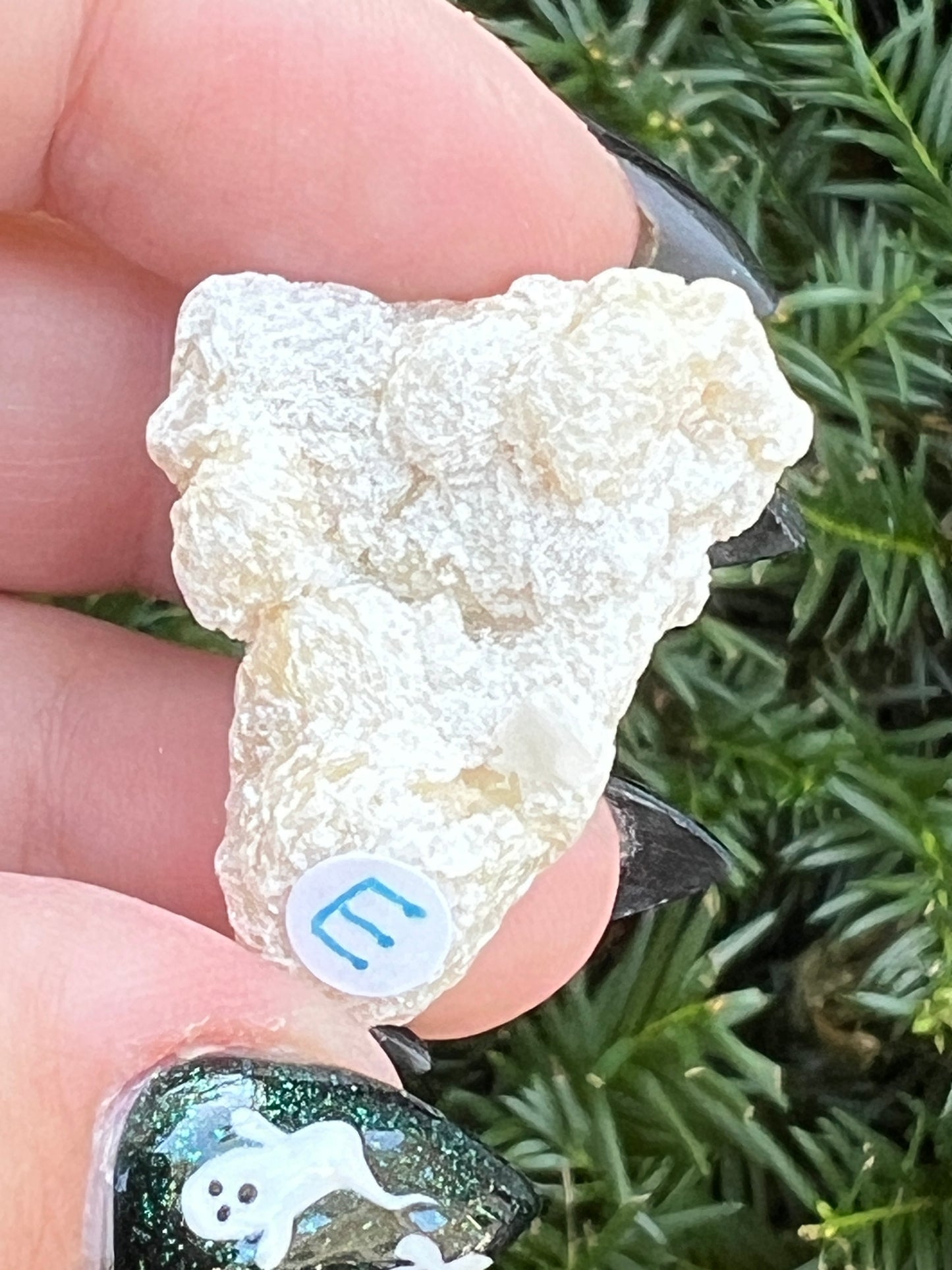 Goddess Quartz Clusters || Choose Your Own Crystal!