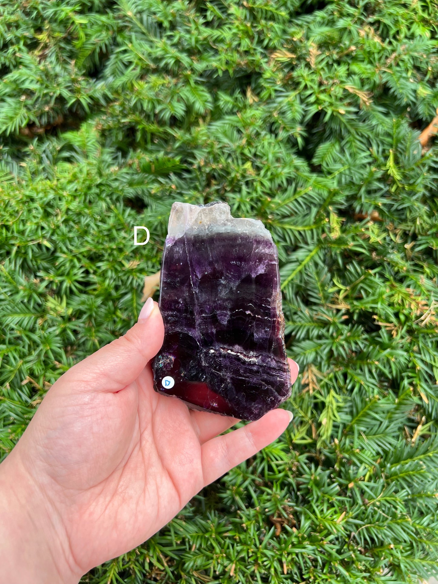 Fluorite Slabs || Choose Your Own Crystal!