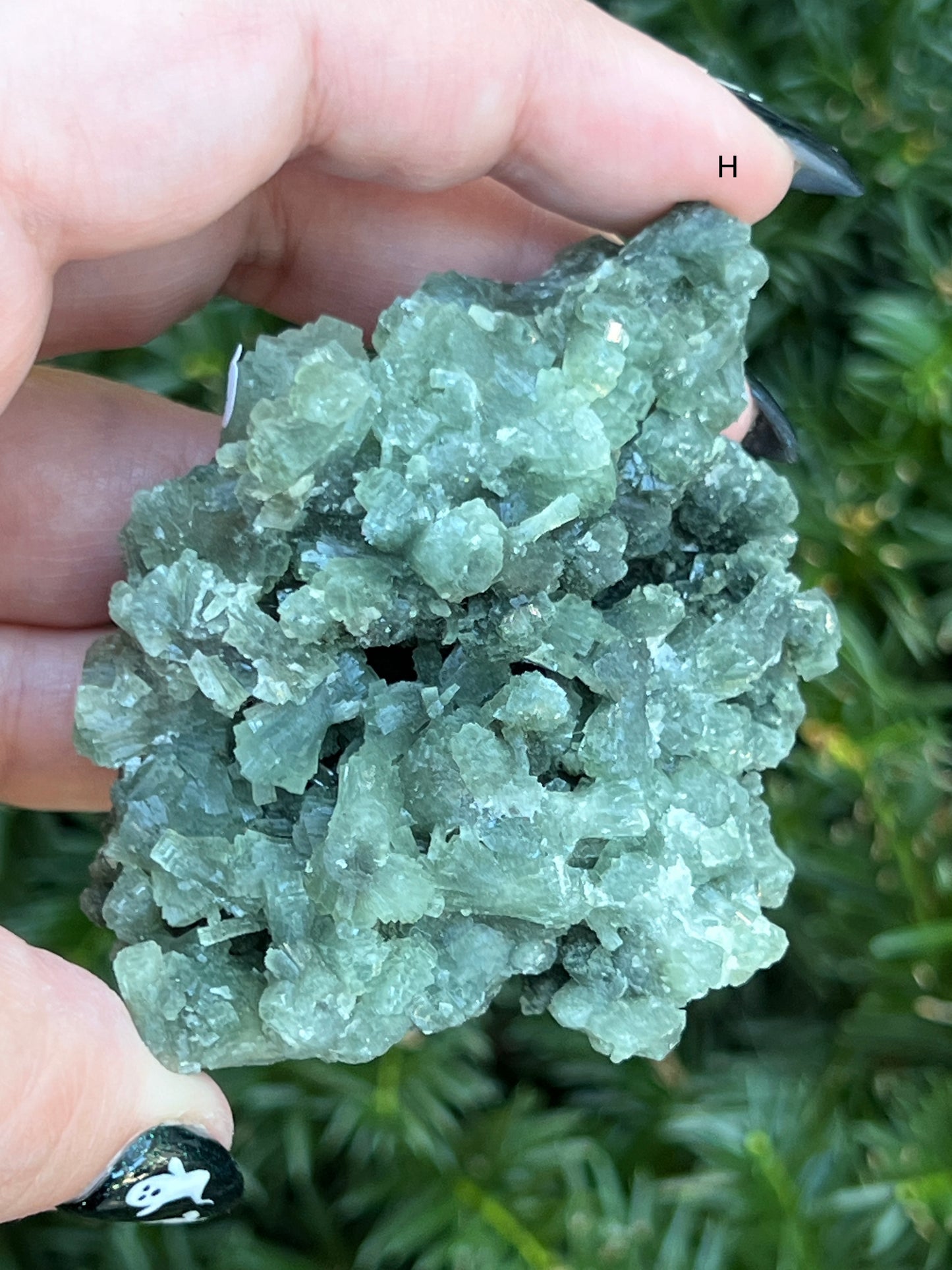 Prehnite & Epidote Clusters || Choose Your Own Crystal