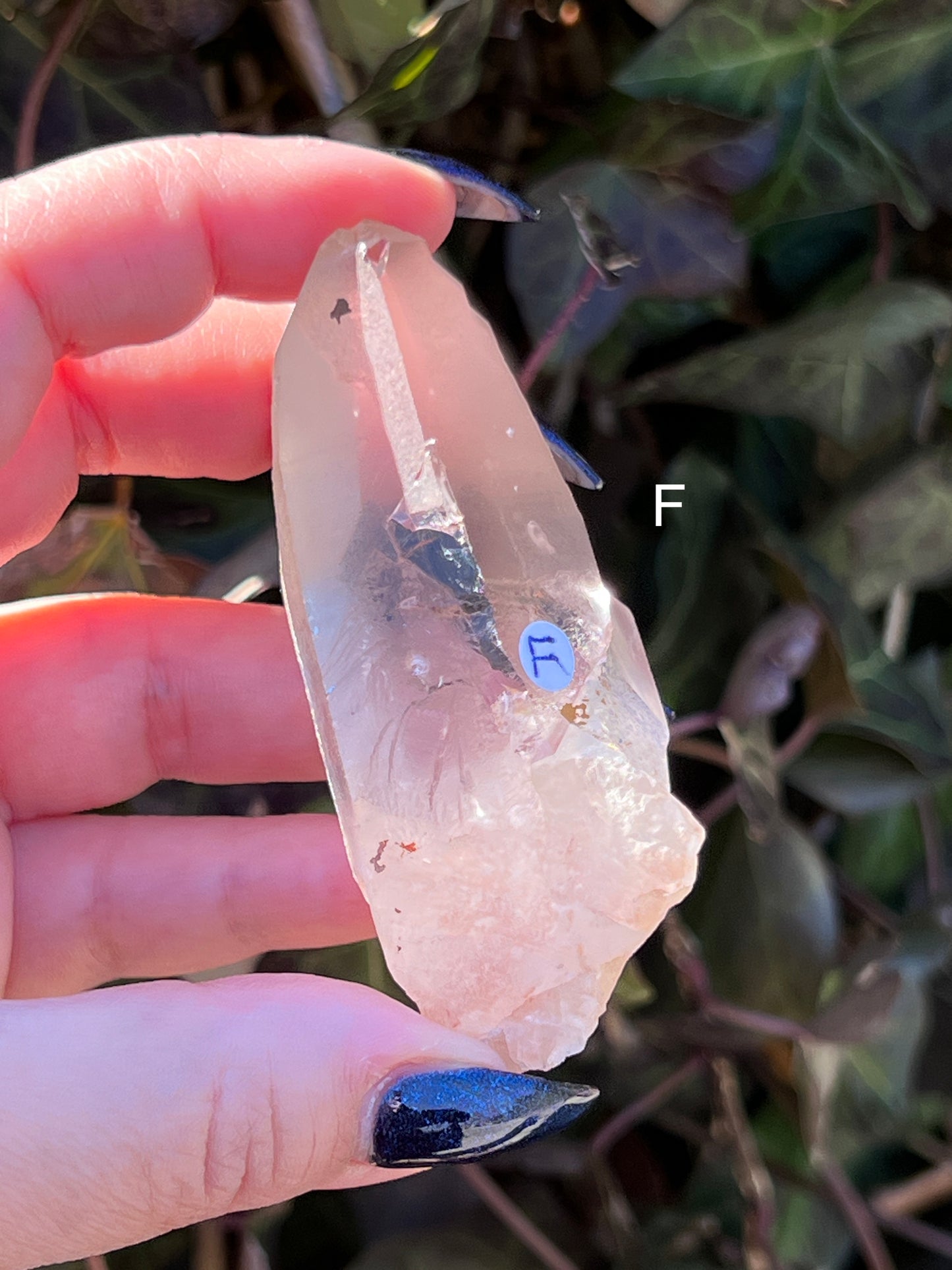 Smoky Lemurian Quartz || Choose Your Own Crystal!