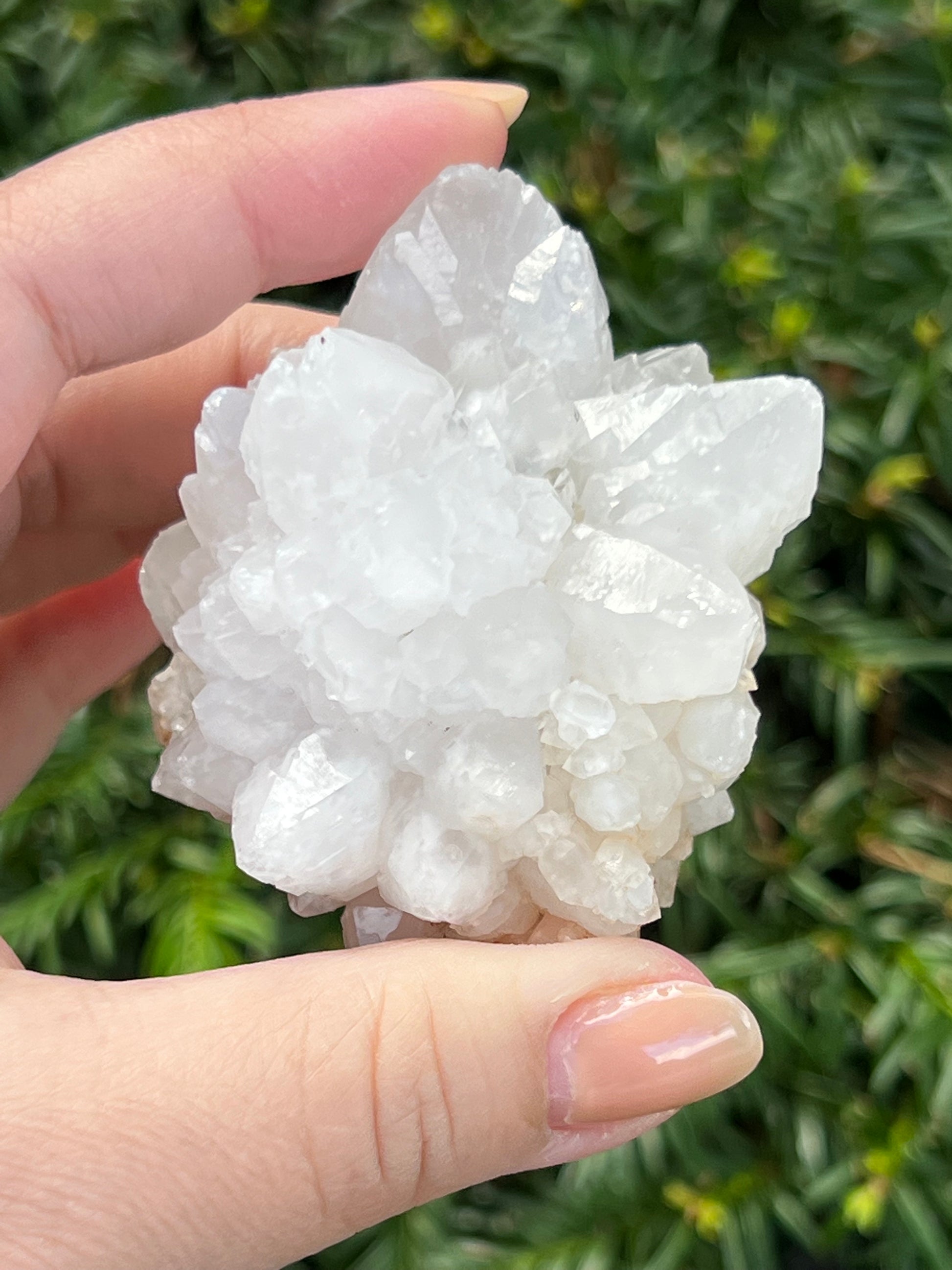 Moroccan Clear Quartz Clusters || Choose Your Own Crystal! image 0