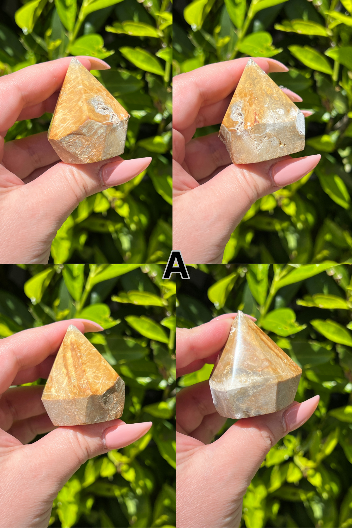 Fossilized Coral Top Polishes || Choose Your Own Crystal!