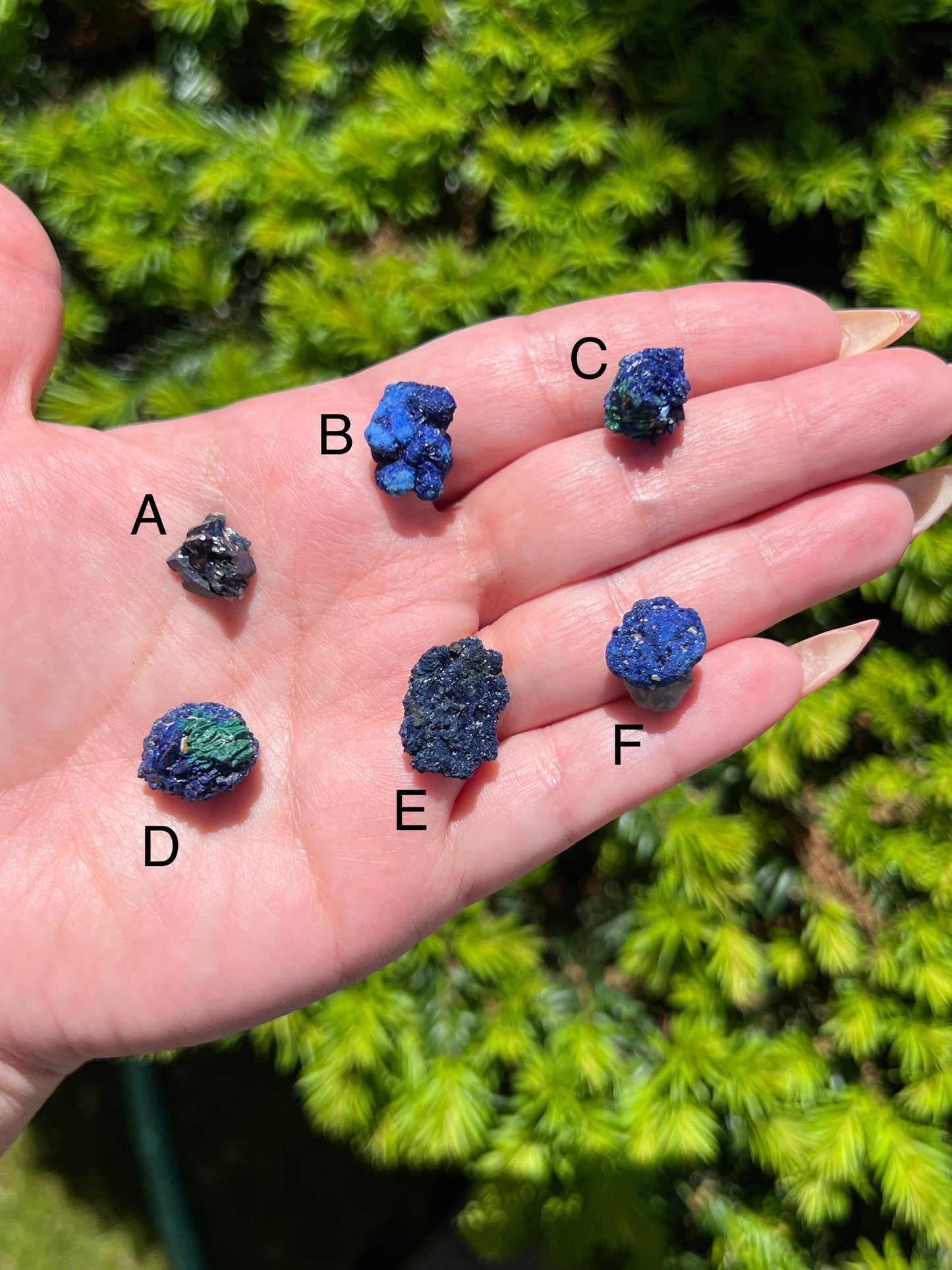 Raw Azurite Crystals || Choose Your Own Crystal!