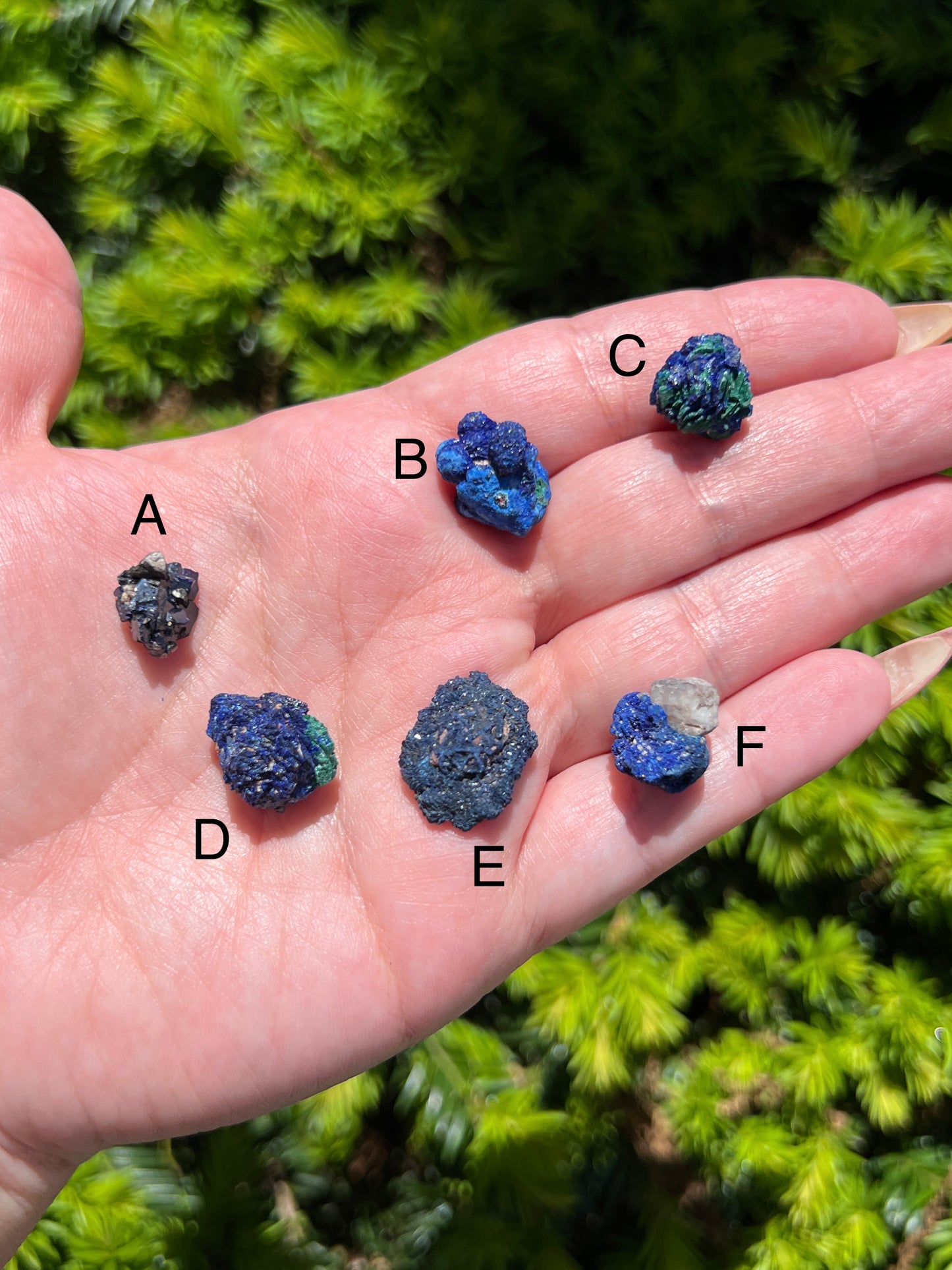 Raw Azurite Crystals || Choose Your Own Crystal!