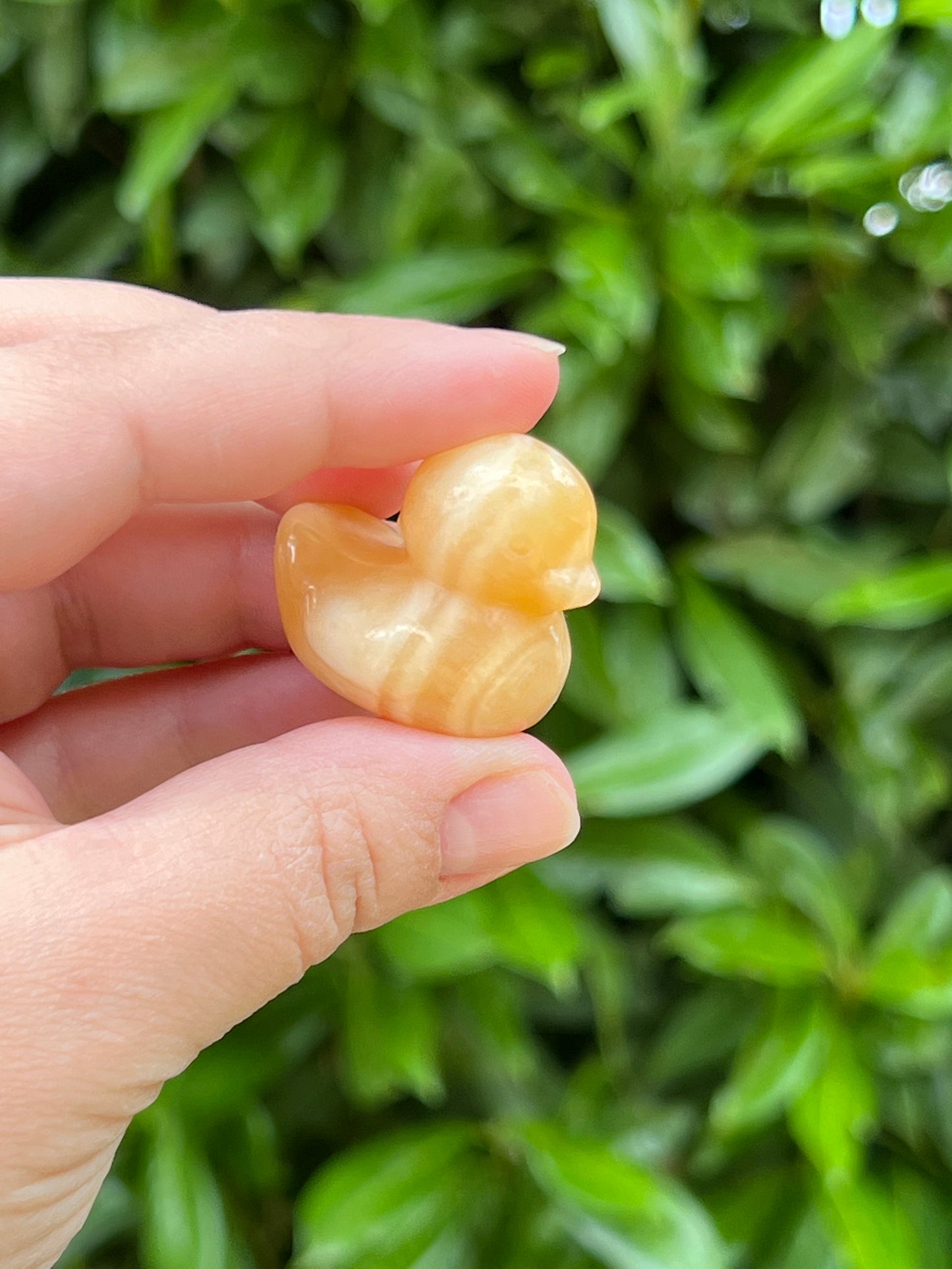 Yellow Calcite Ducklings