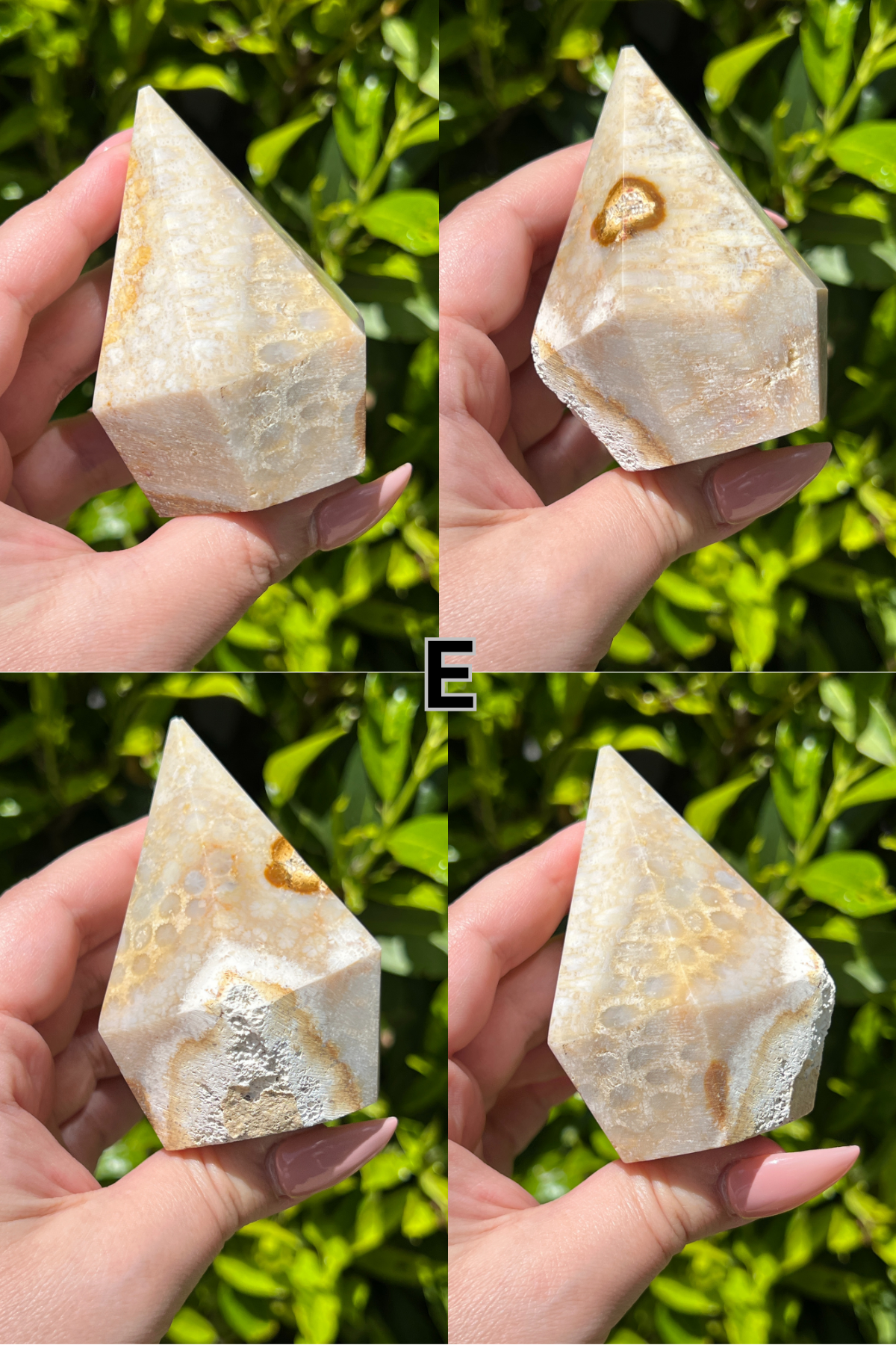Fossilized Coral Top Polishes || Choose Your Own Crystal!