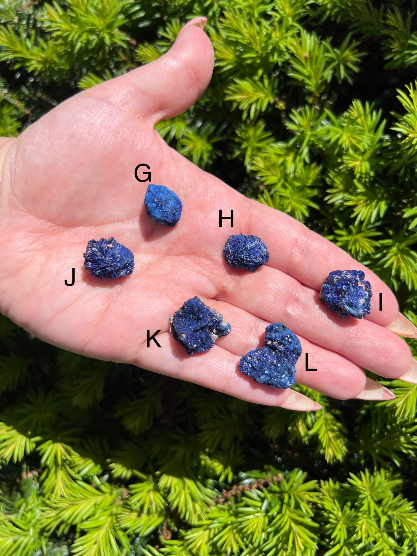 Raw Azurite Crystals || Choose Your Own Crystal!