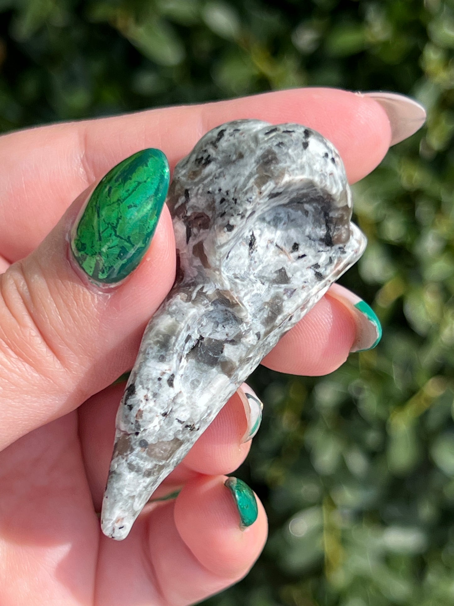 Yooperlite Crow Skulls || Intuitively Seleted Crystals