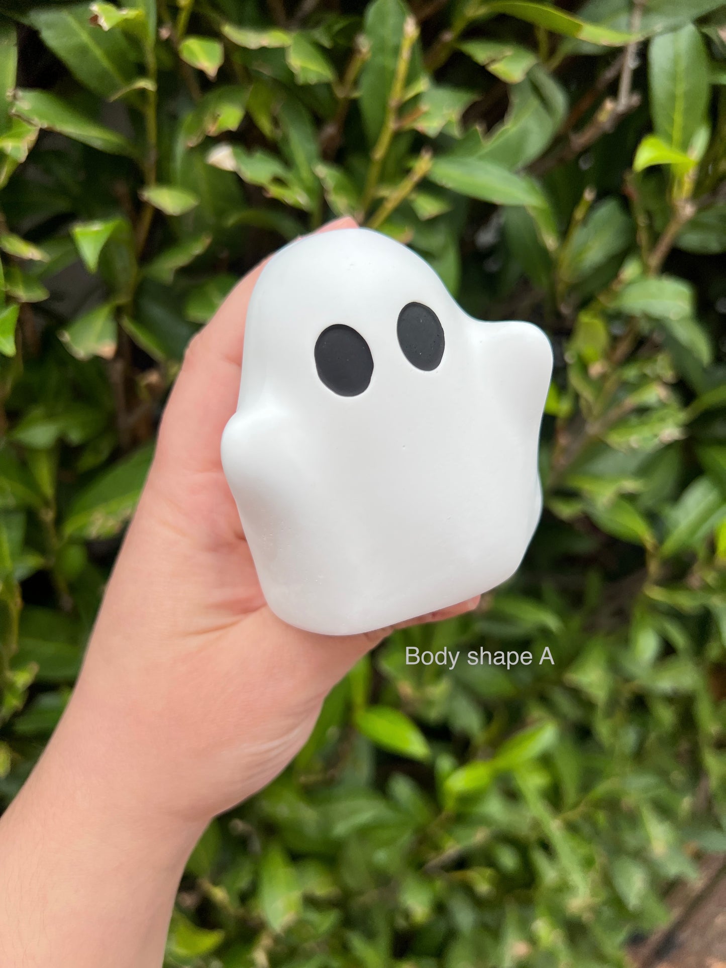 Adopt-A-Ghost