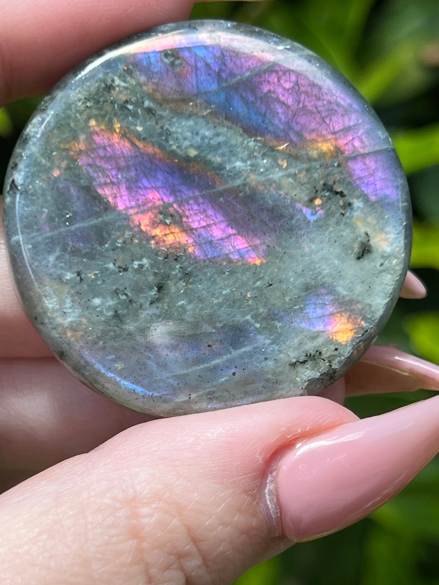 Labradorite Coins || Intuitively Selected Crystal