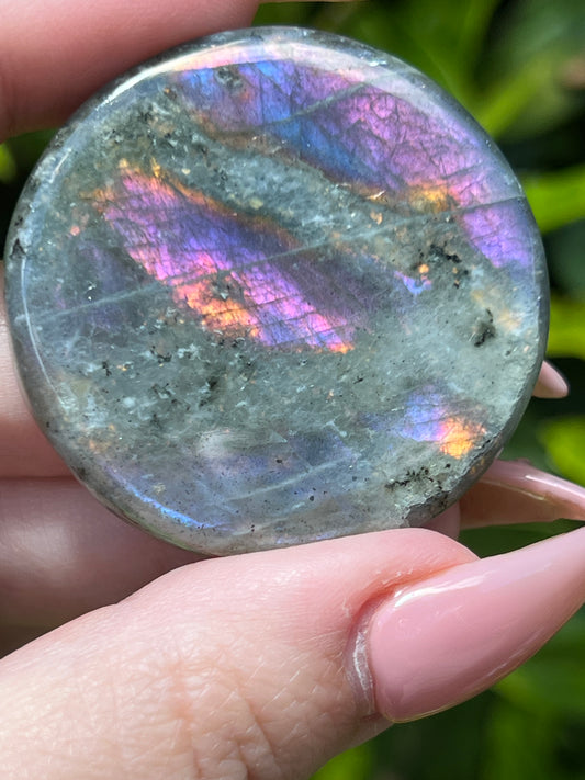 Labradorite Coins || Intuitively Selected Crystal