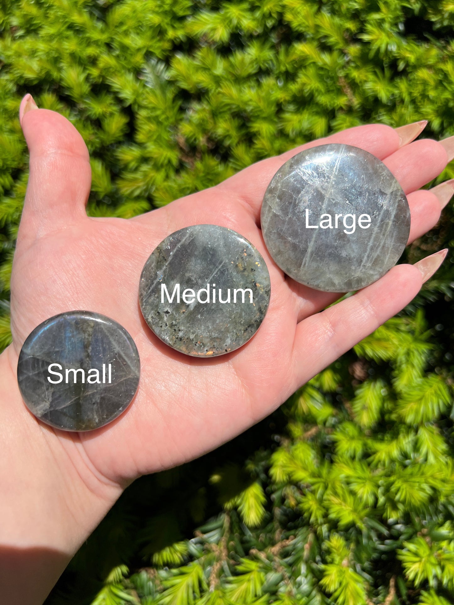 Labradorite Coins || Intuitively Selected Crystal