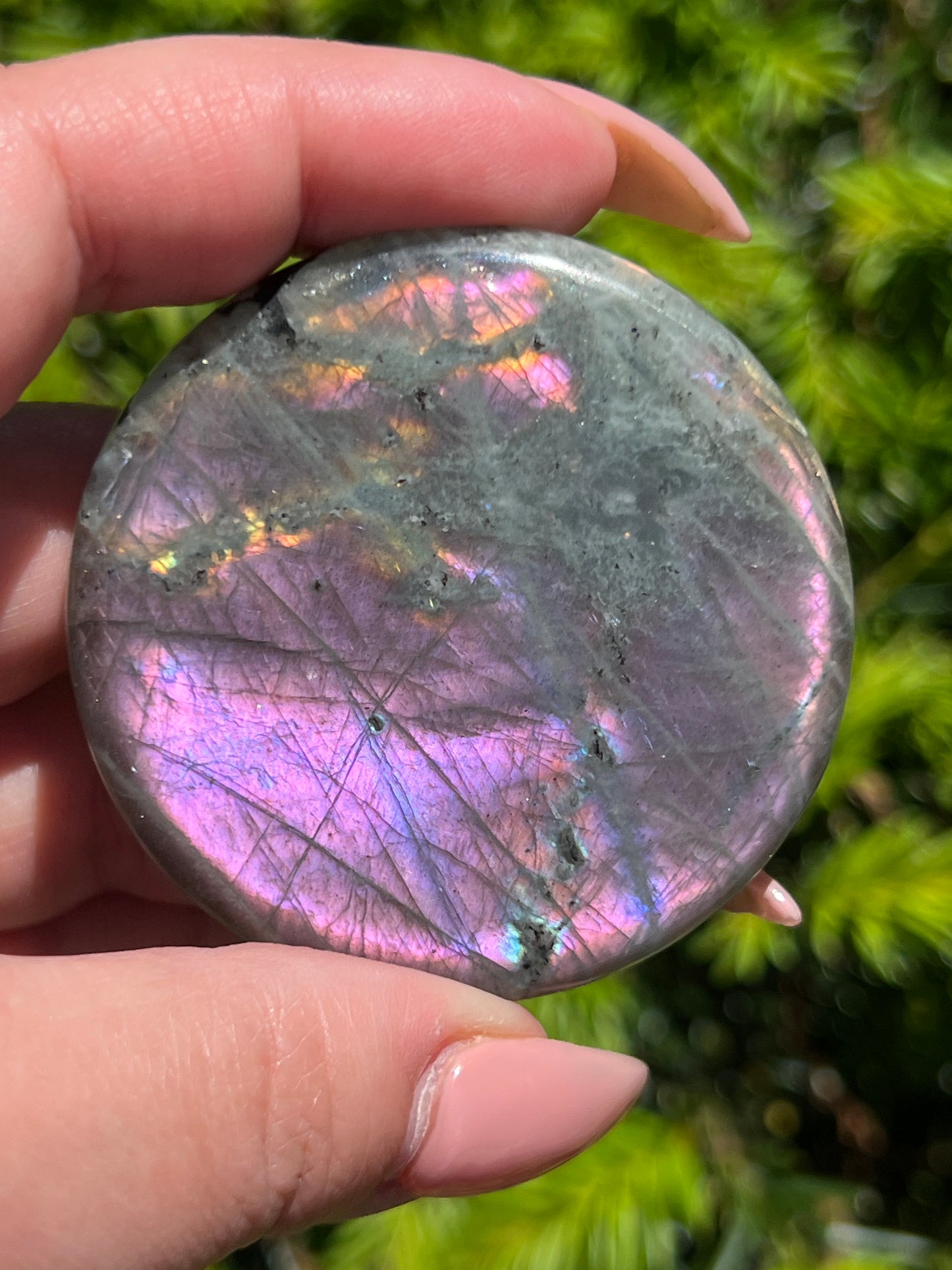 Labradorite Coins || Intuitively Selected Crystal