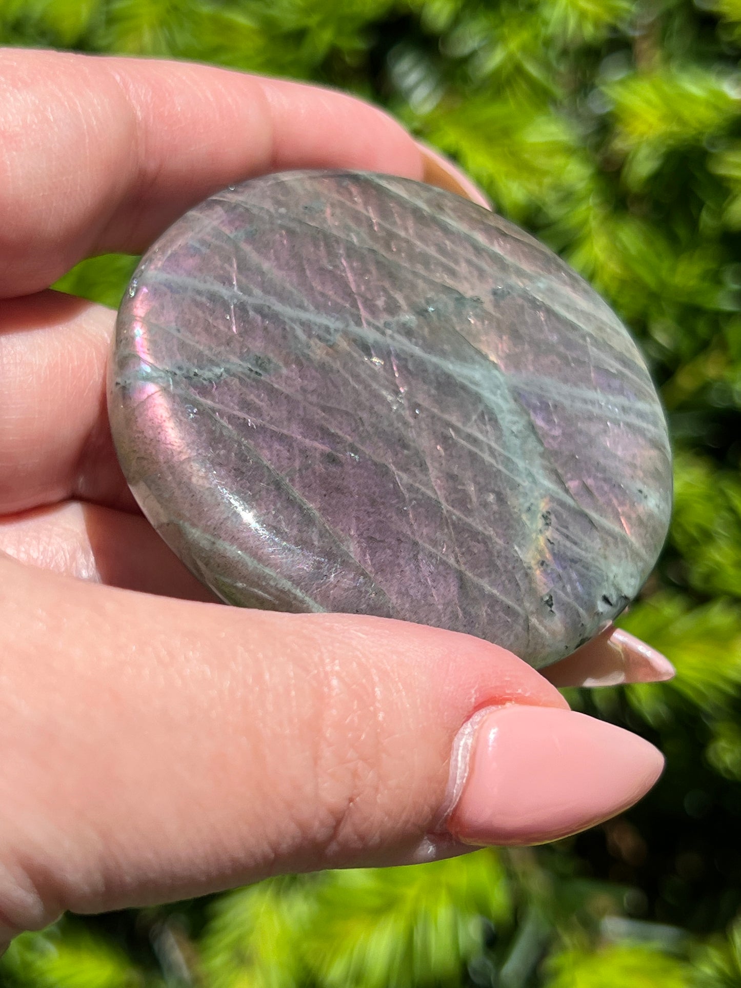 Labradorite Coins || Intuitively Selected Crystal