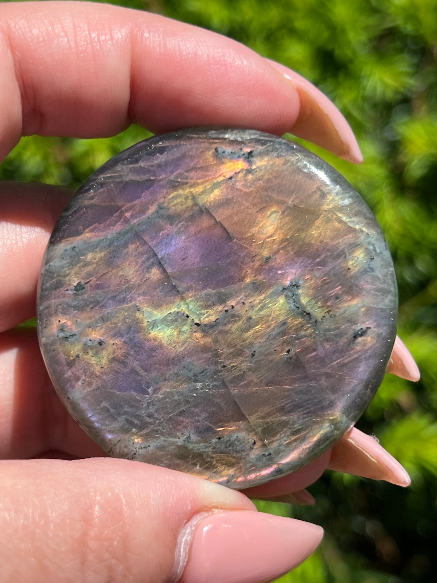 Labradorite Coins || Intuitively Selected Crystal