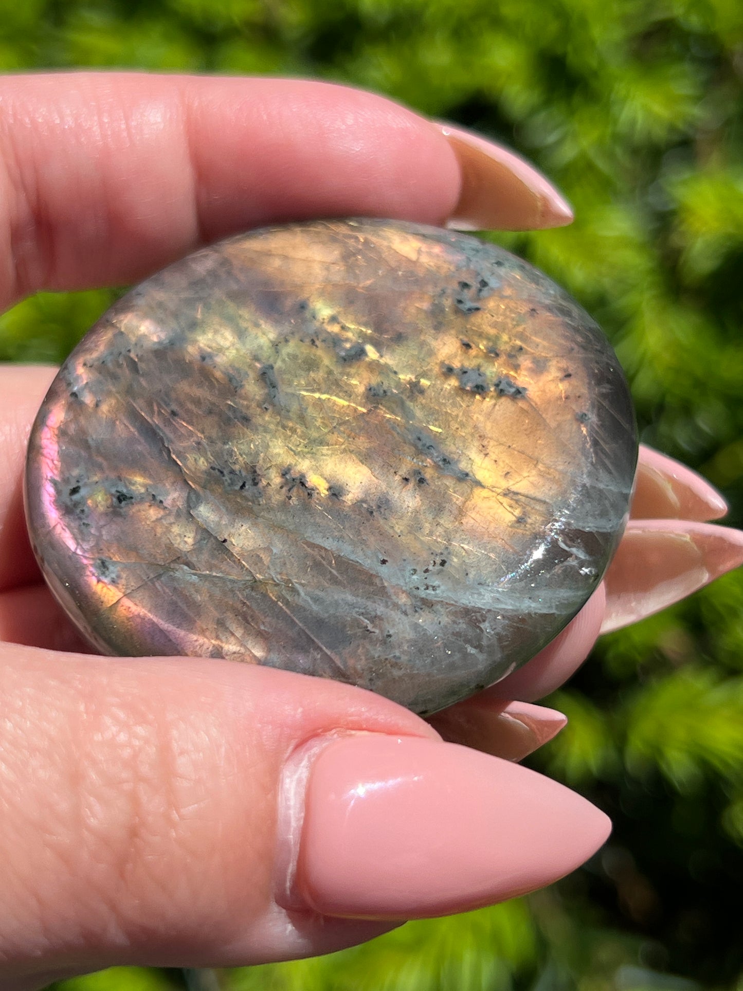Labradorite Coins || Intuitively Selected Crystal