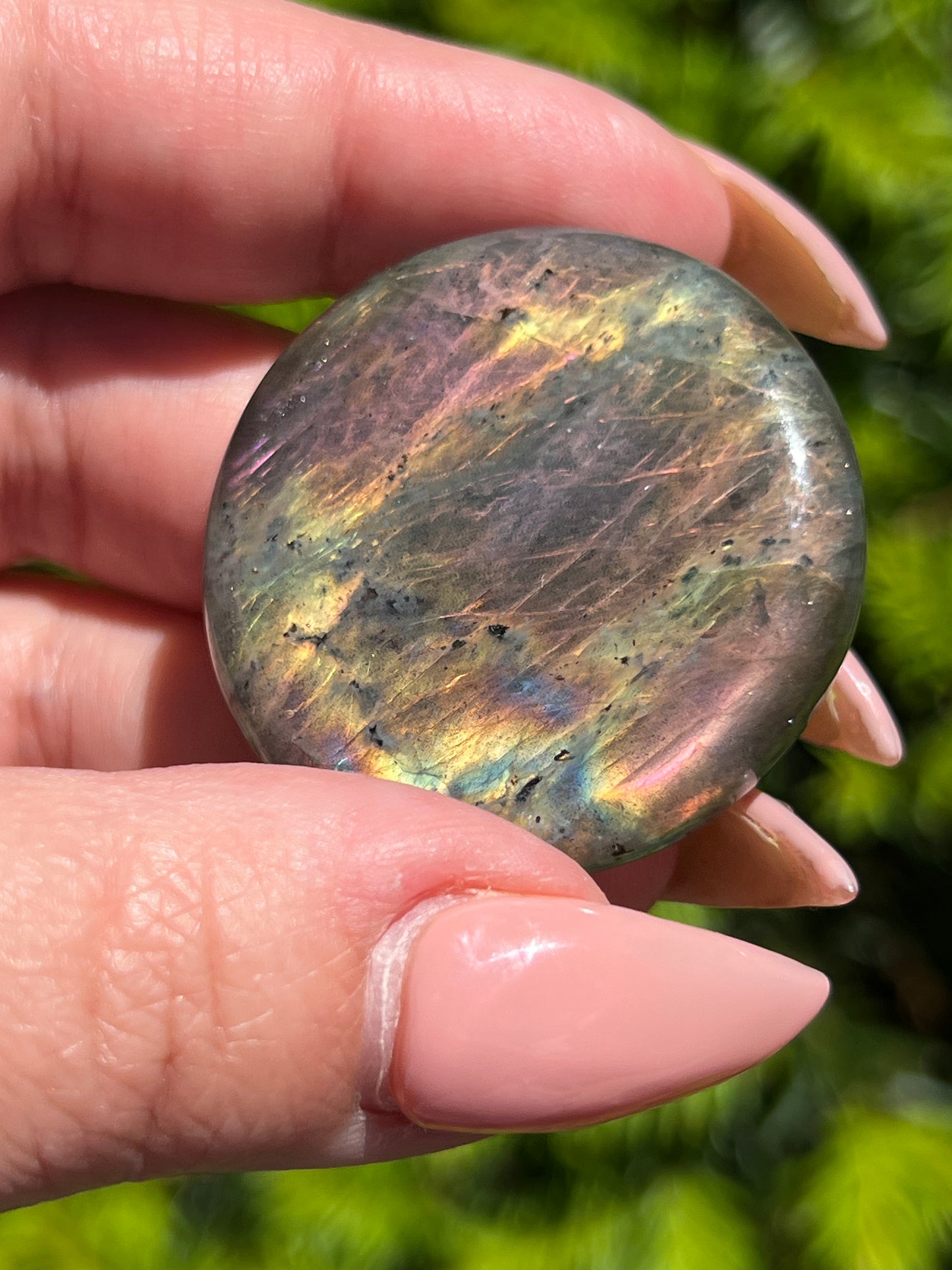 Labradorite Coins || Intuitively Selected Crystal